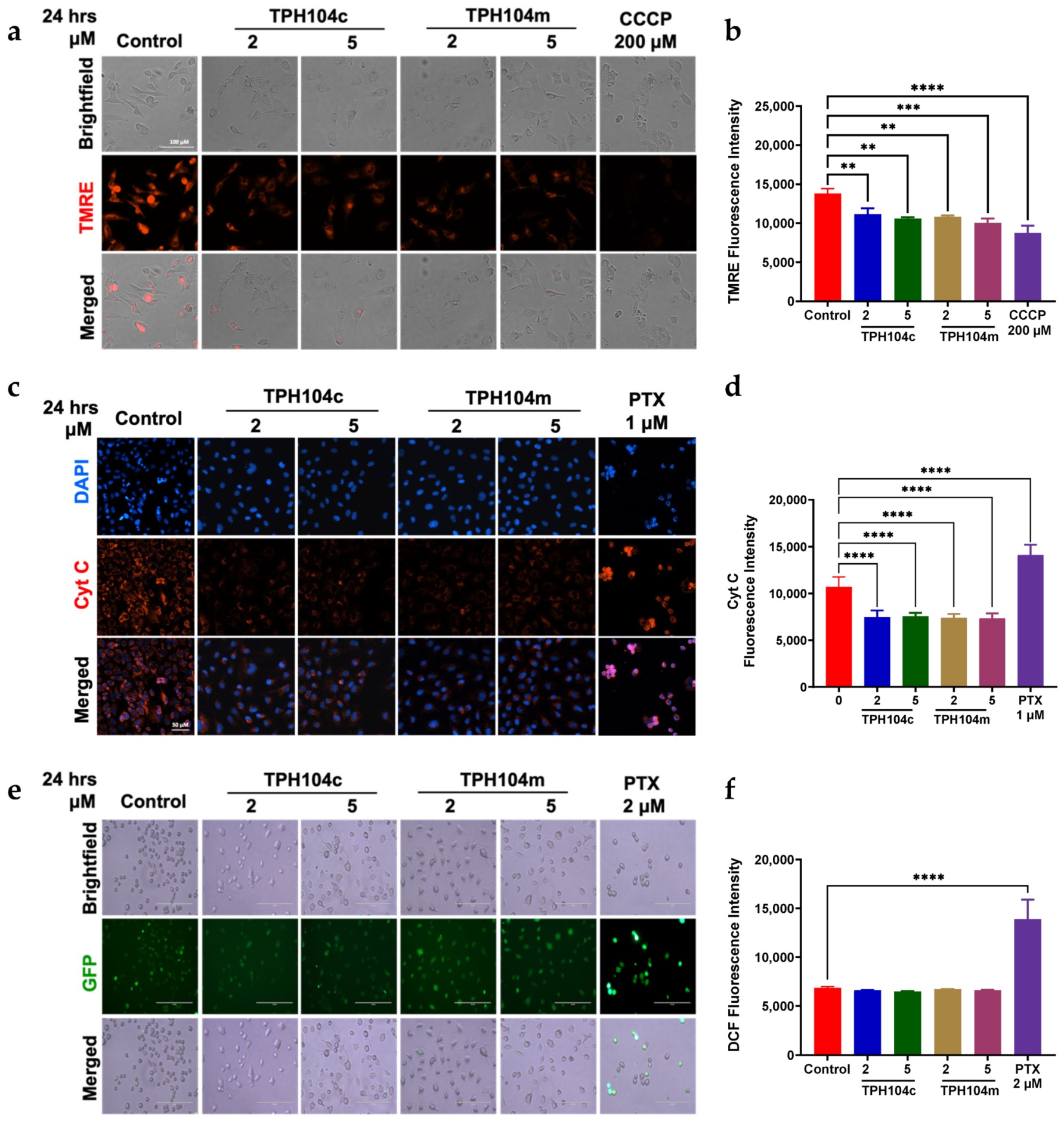 Cancers 16 02621 g005 Cancers 16 02621 g005