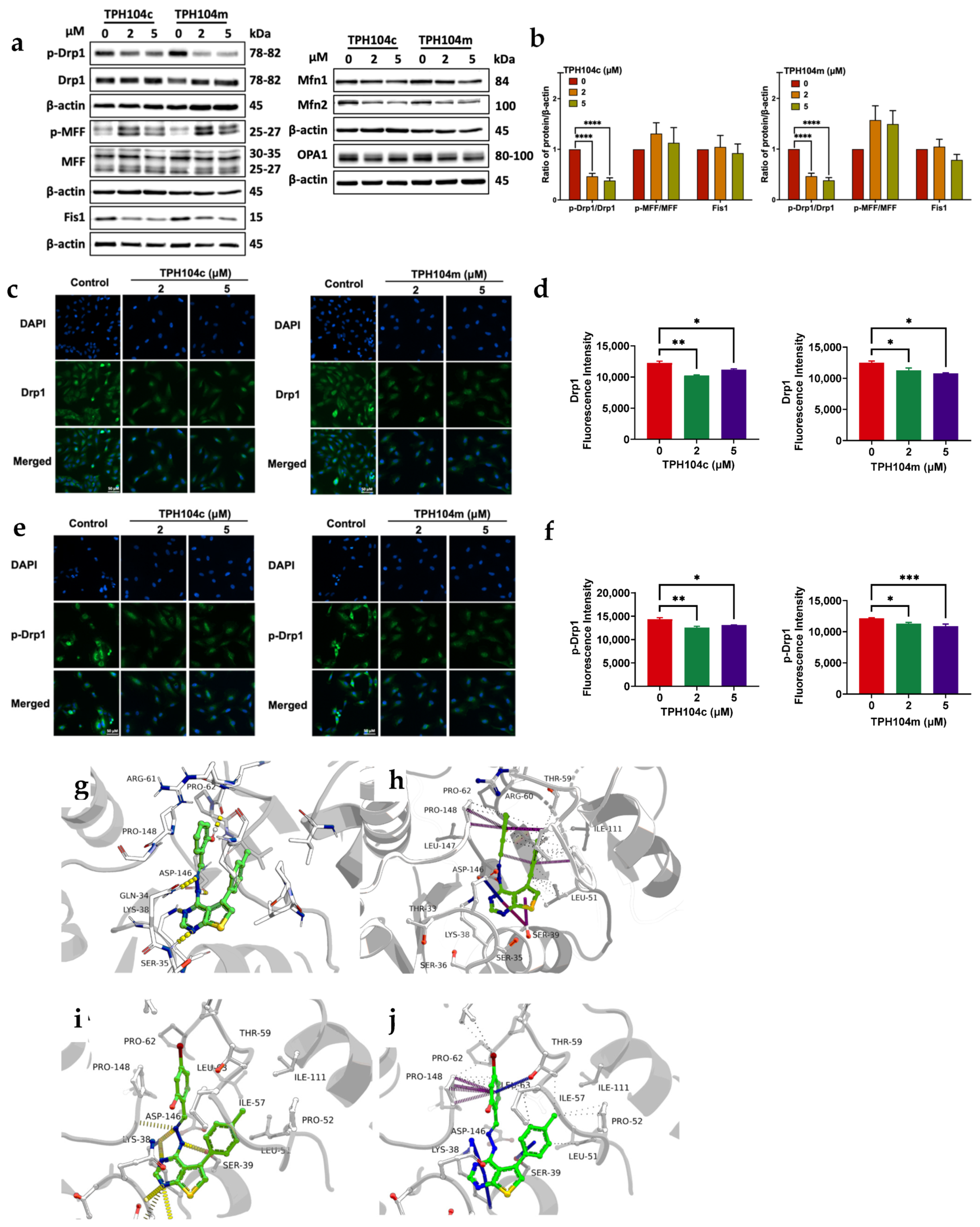 Cancers 16 02621 g006a Cancers 16 02621 g006a