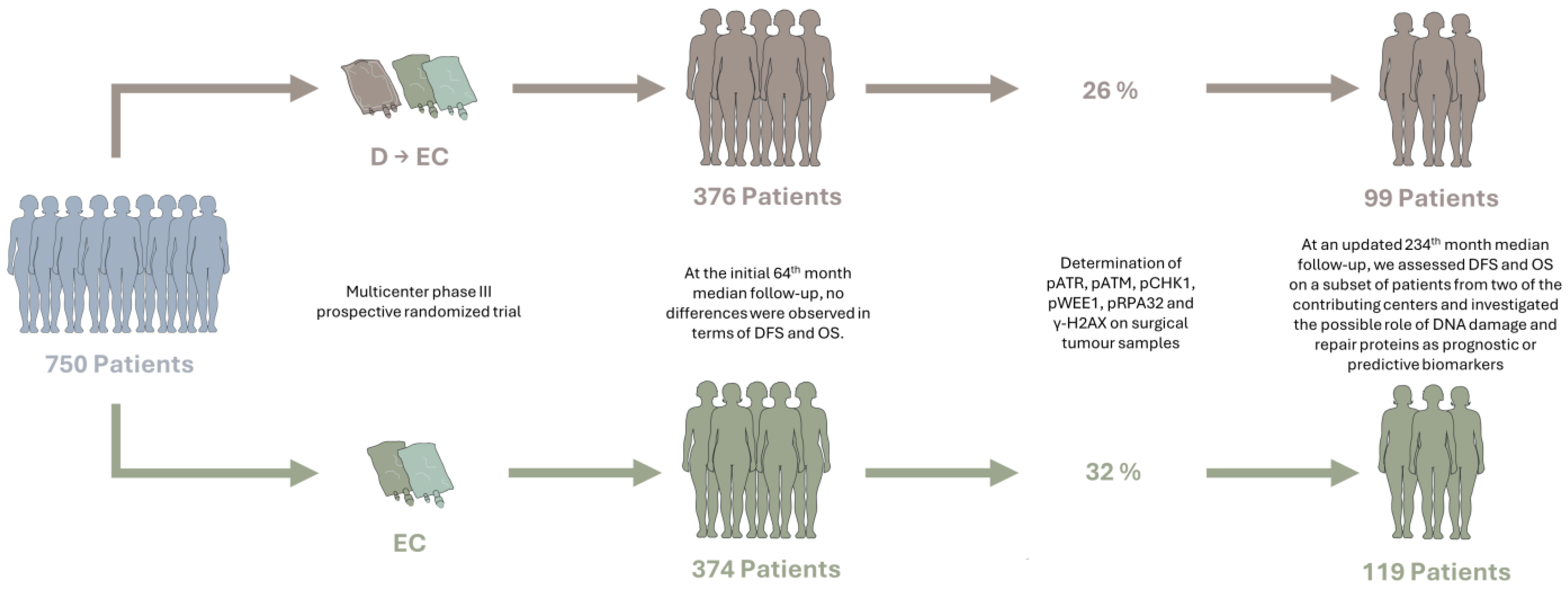 Cancers 16 02628 g001 Cancers 16 02628 g001