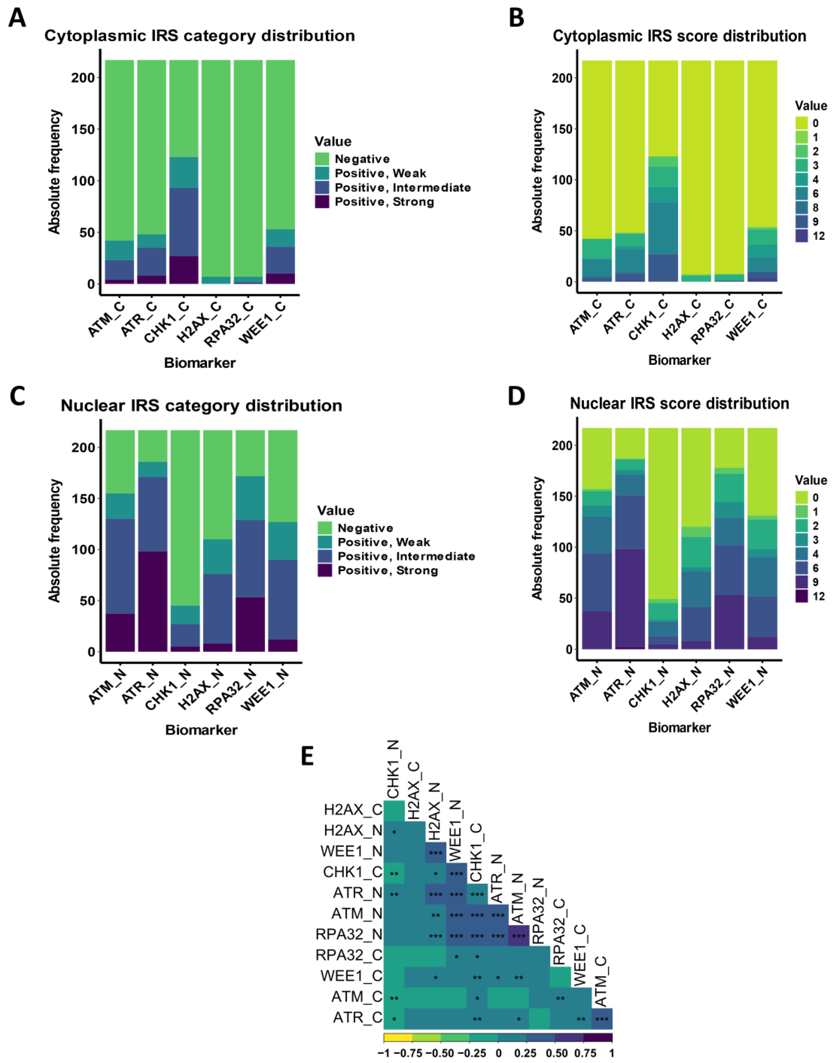 Cancers 16 02628 g003 Cancers 16 02628 g003