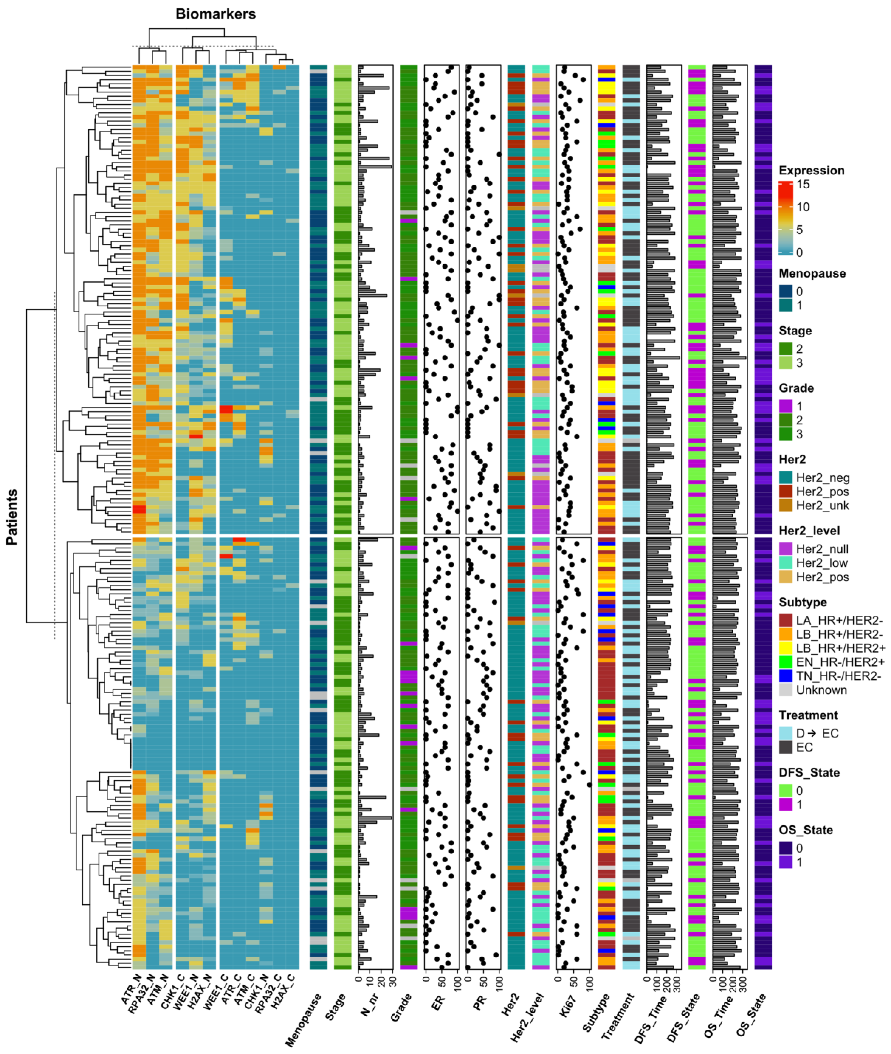 Cancers 16 02628 g004 Cancers 16 02628 g004