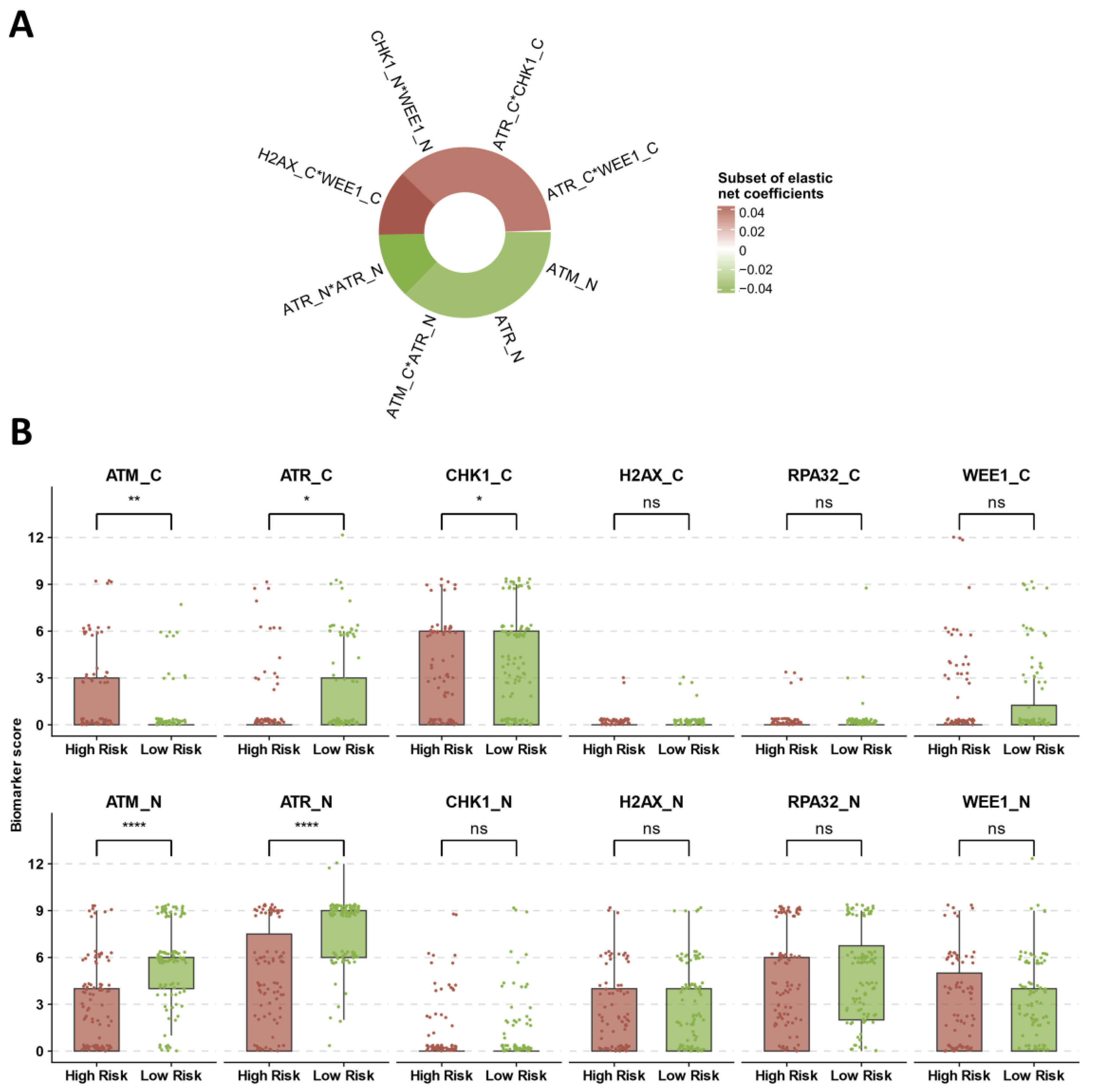 Cancers 16 02628 g005 Cancers 16 02628 g005