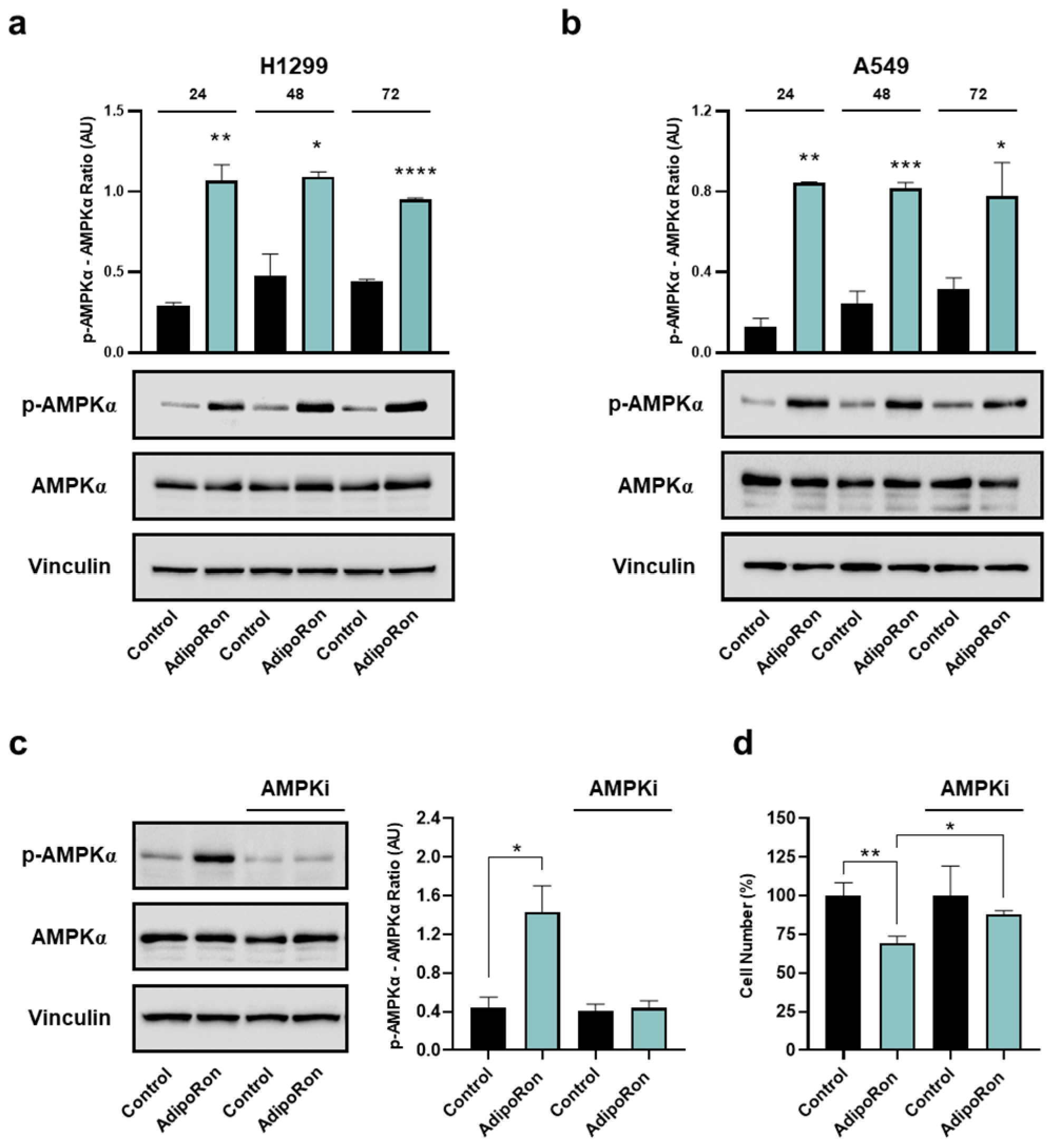 Cancers 16 02633 g007 Cancers 16 02633 g007