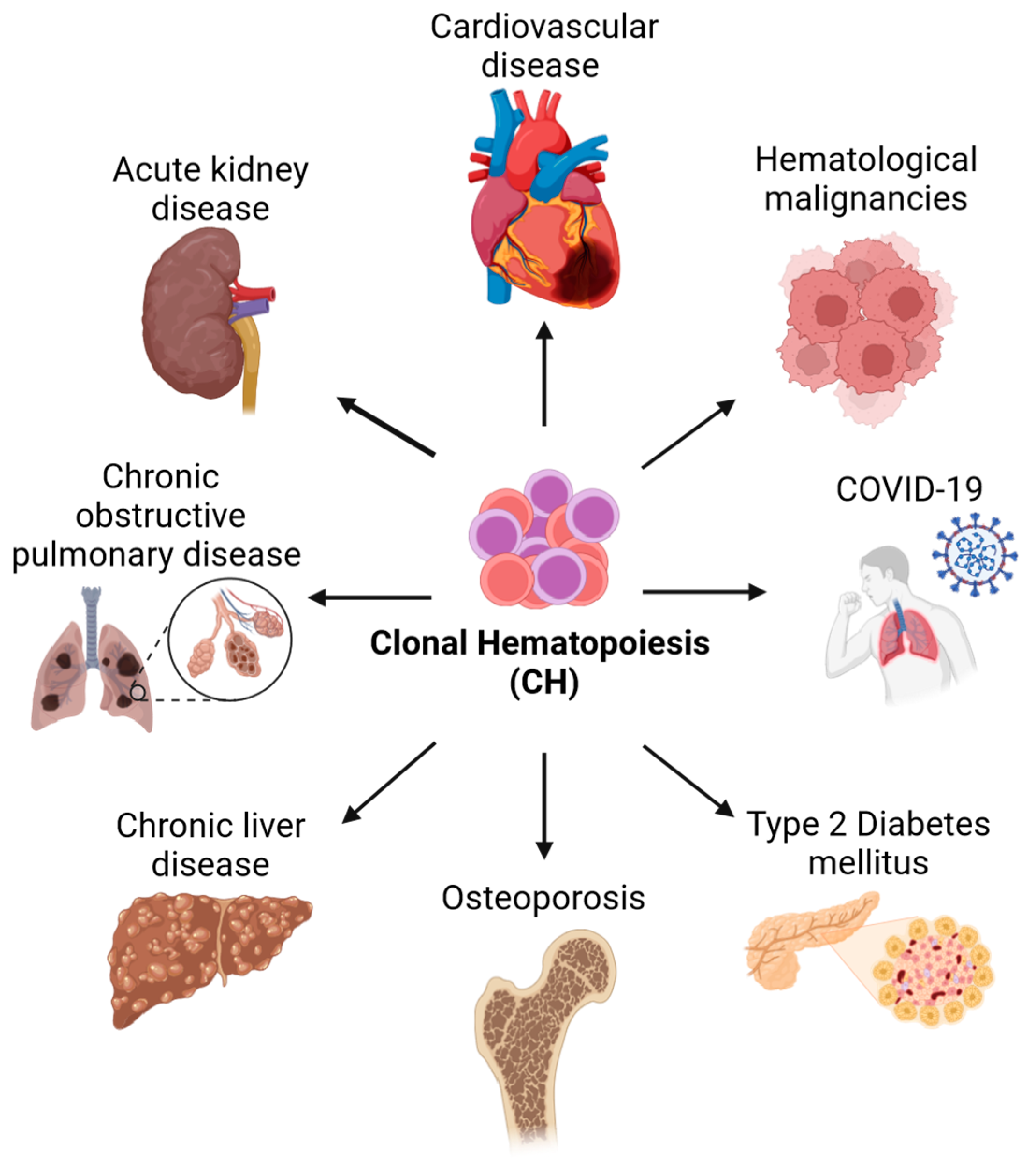 Cancers 16 02634 g001