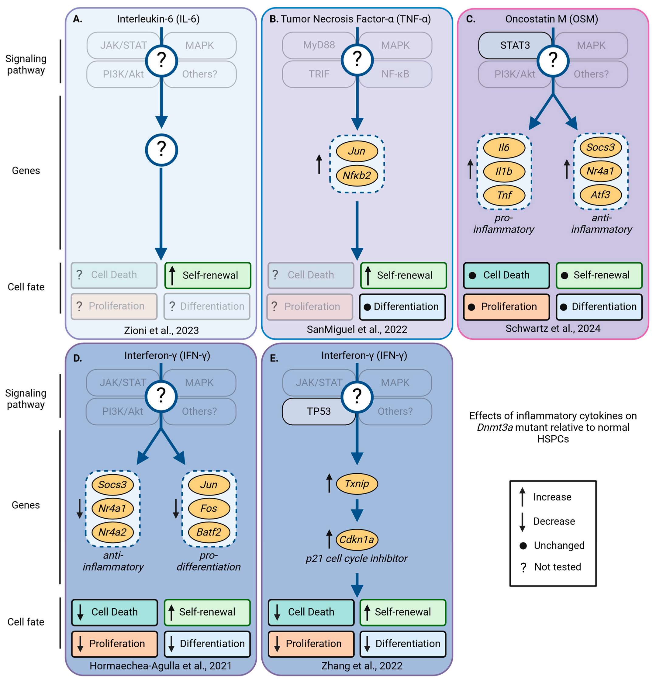 Cancers 16 02634 g006