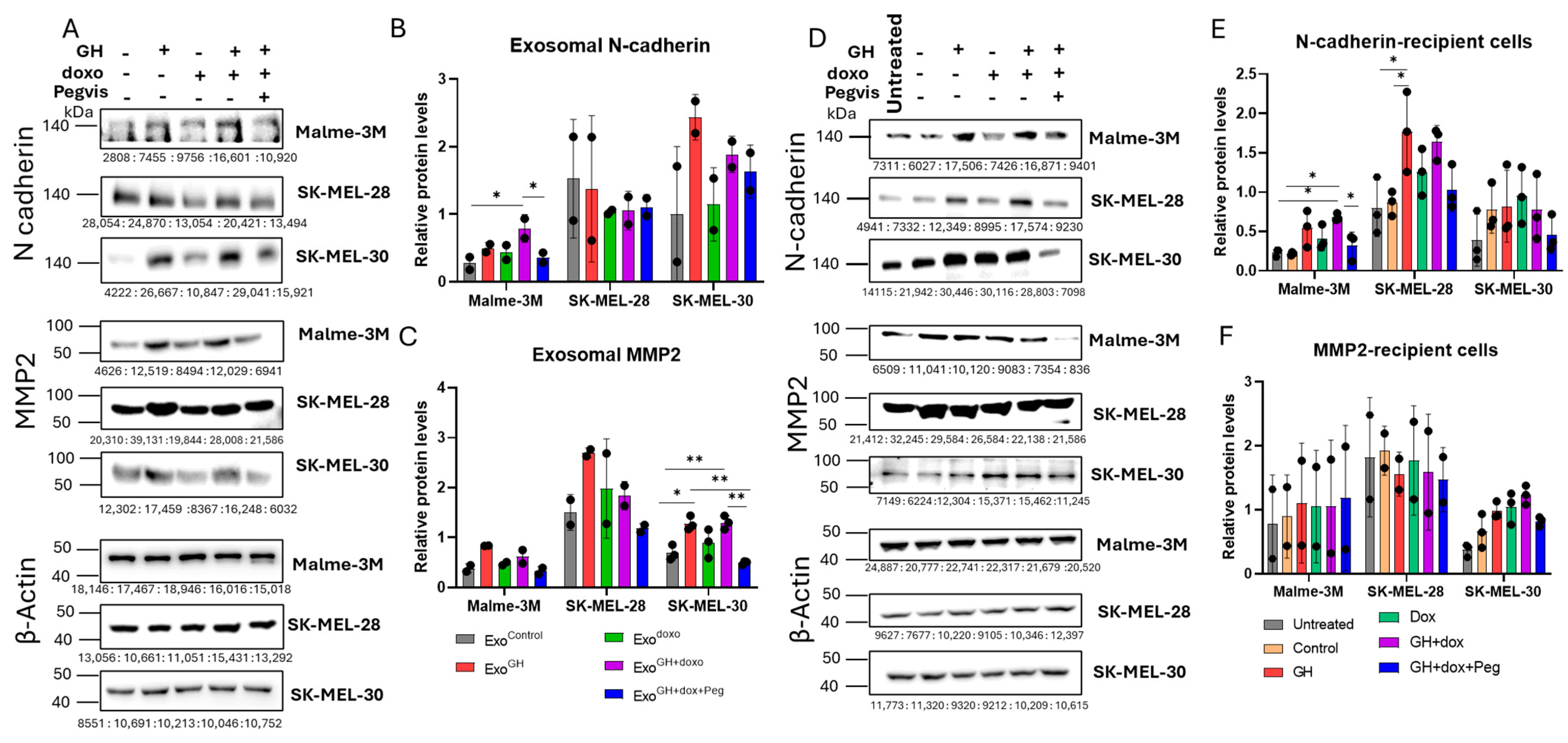 Cancers 16 02636 g005 Cancers 16 02636 g005