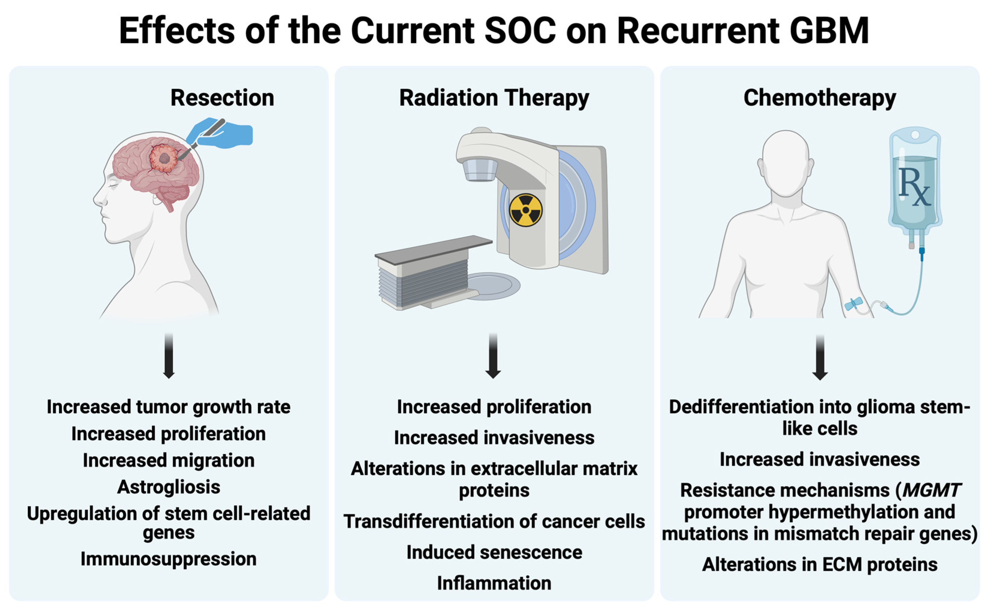 Cancers 16 02638 g002