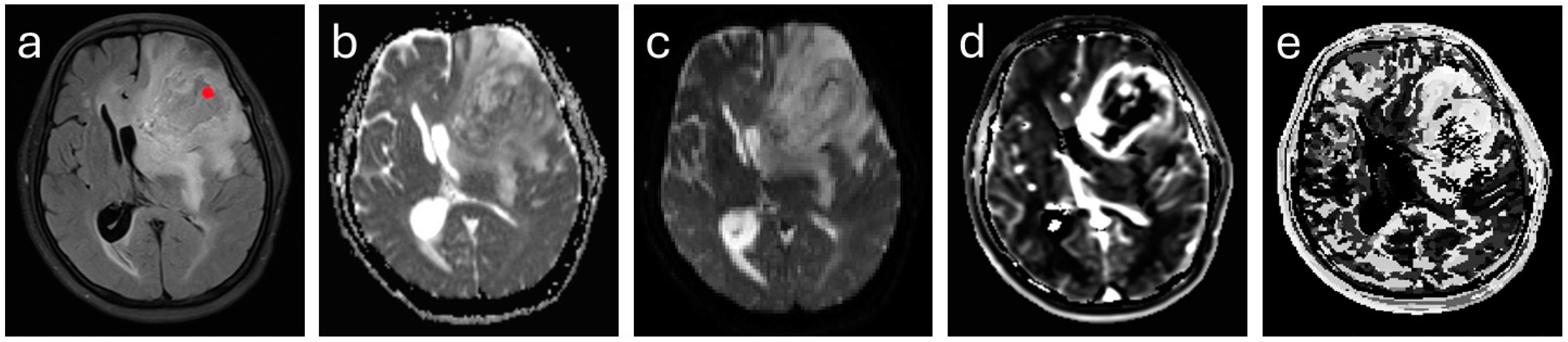 Cancers 16 02644 g001