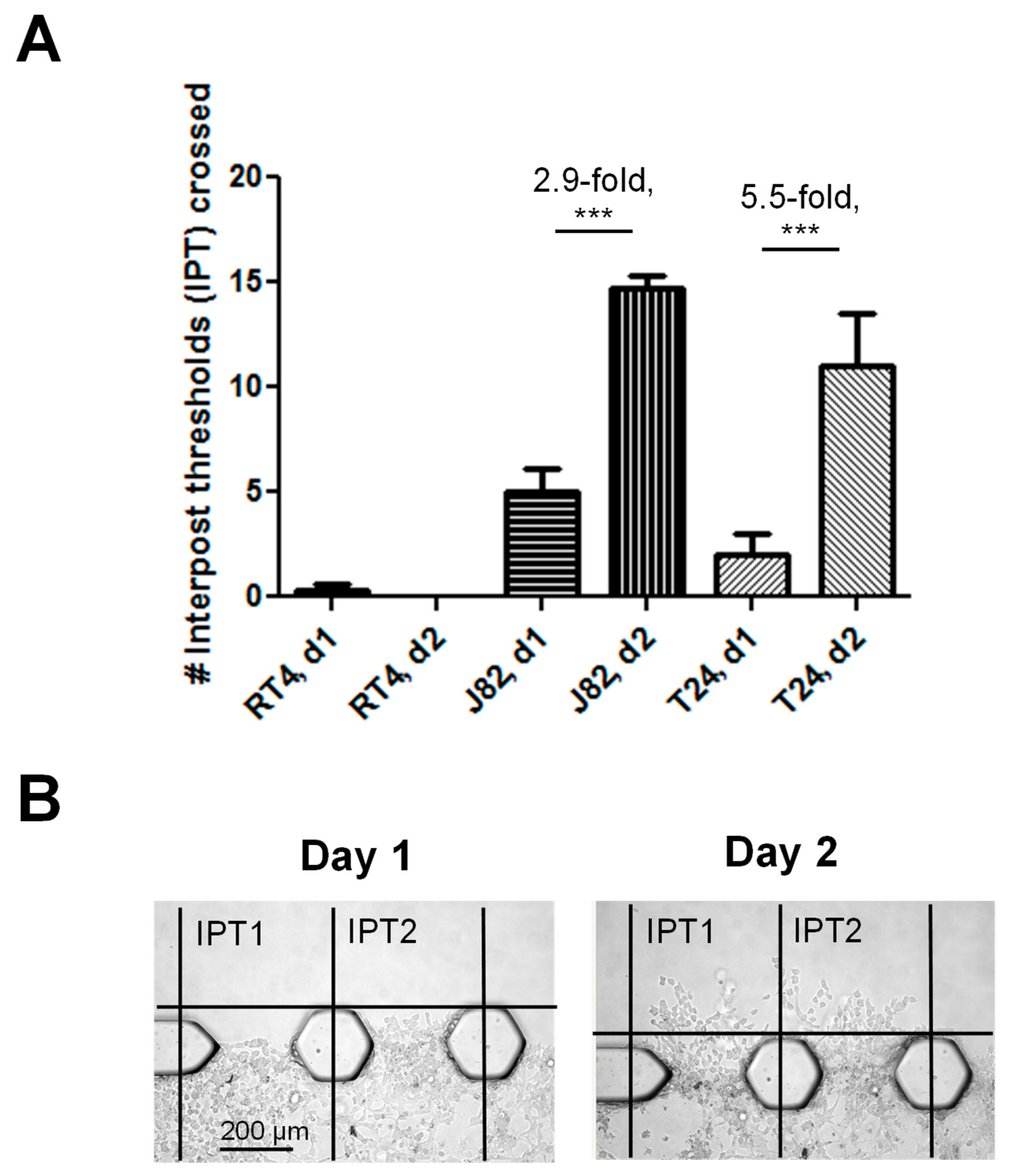 Cancers 16 02657 g004 Cancers 16 02657 g004