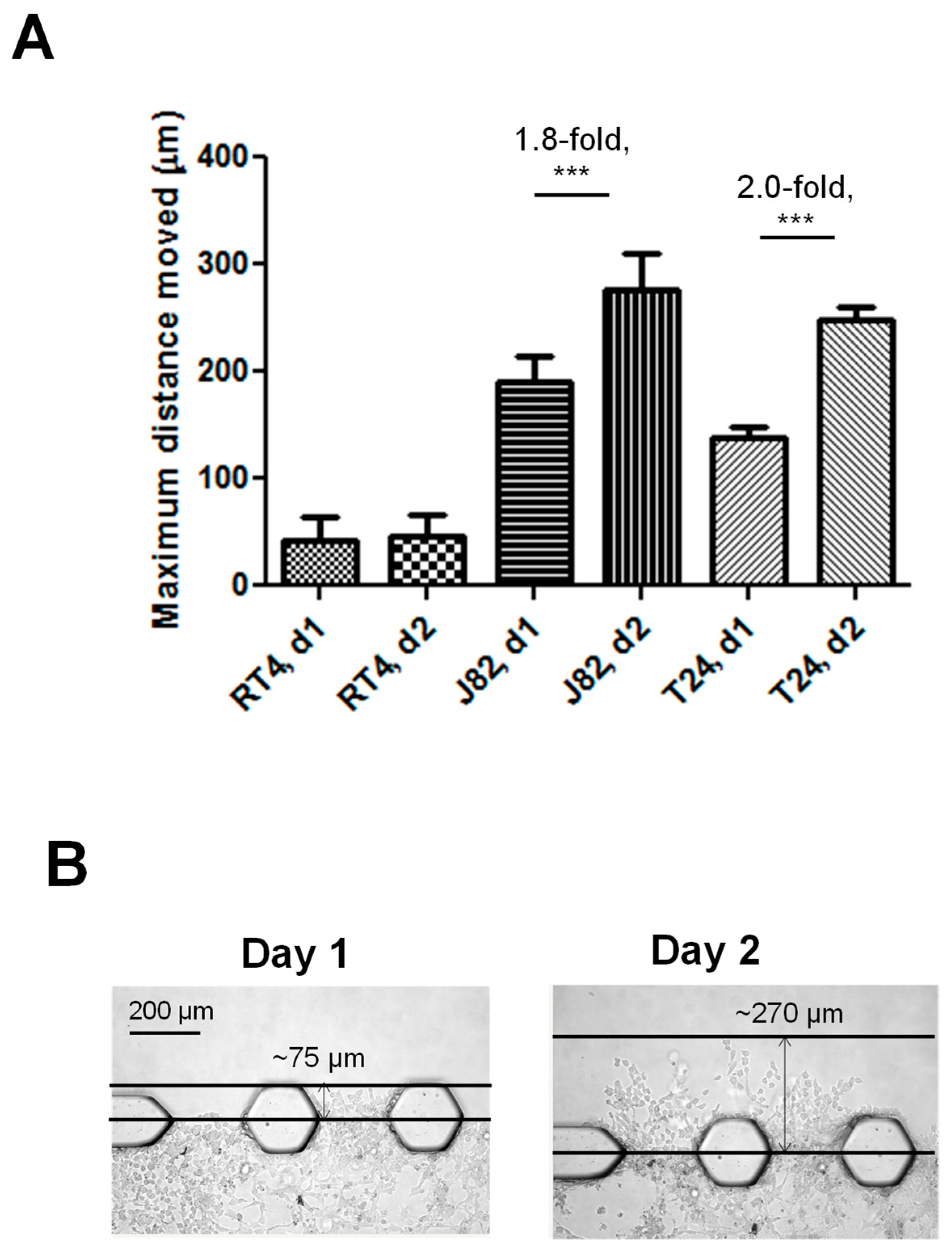 Cancers 16 02657 g005 Cancers 16 02657 g005