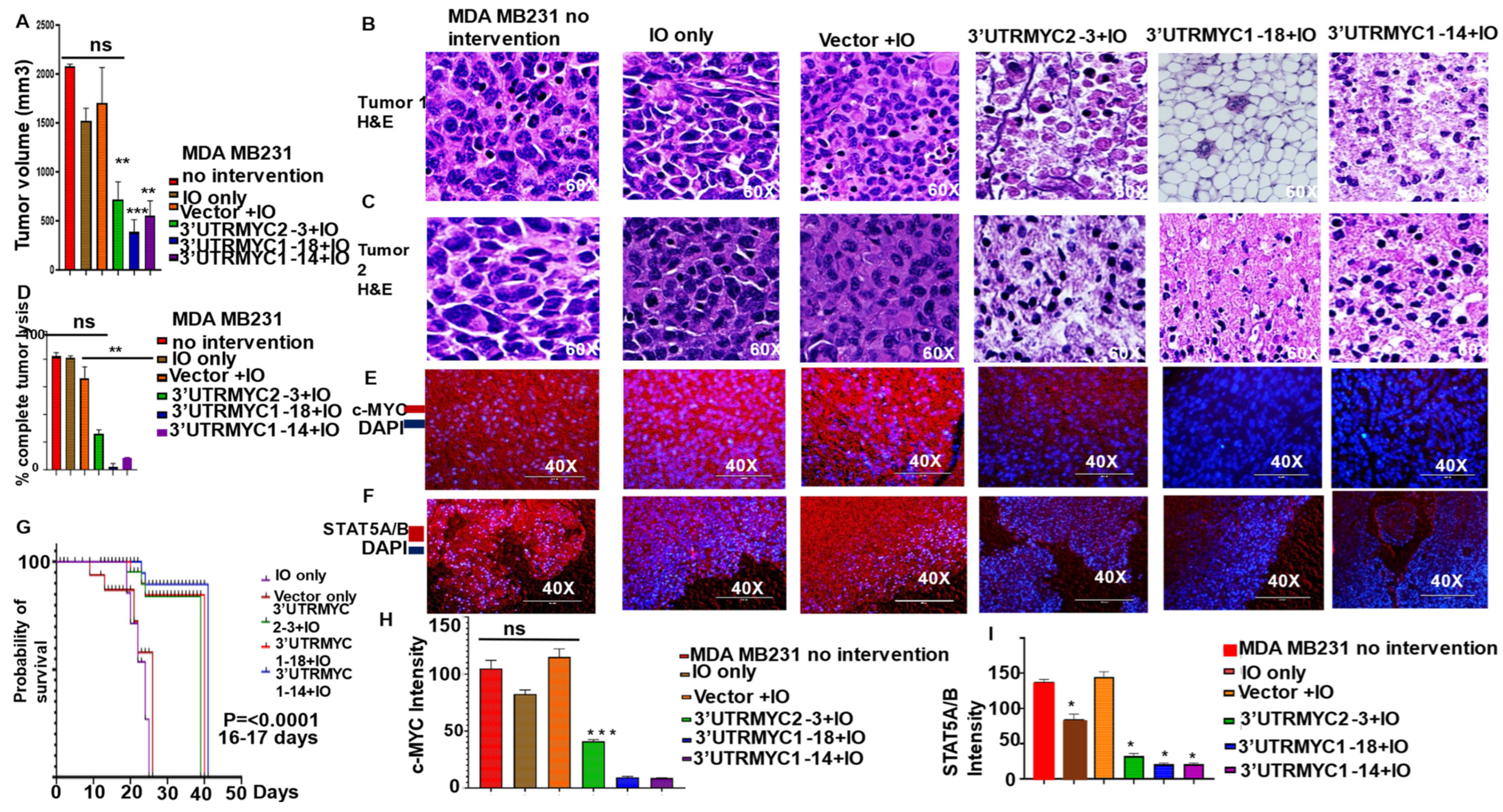 Cancers 16 02663 g001