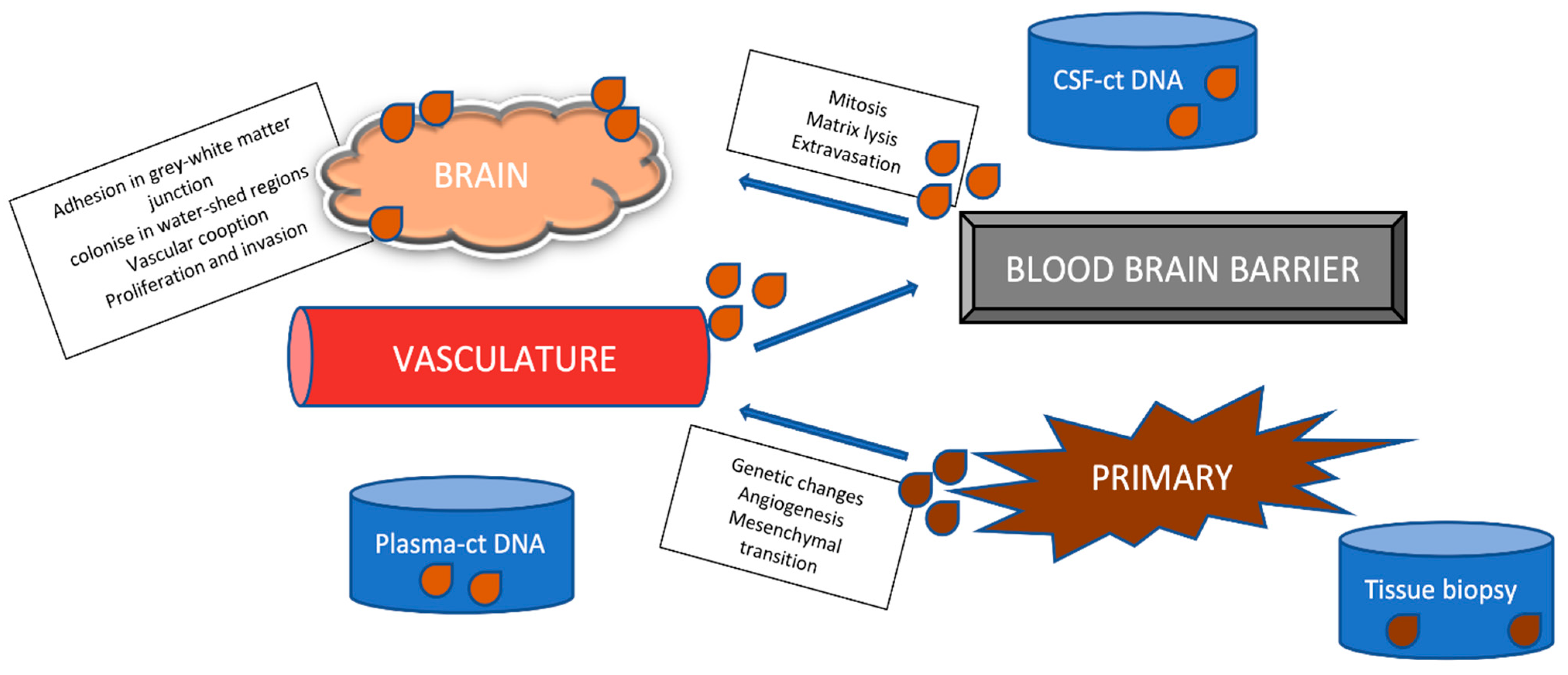 Cancers 16 02667 g001