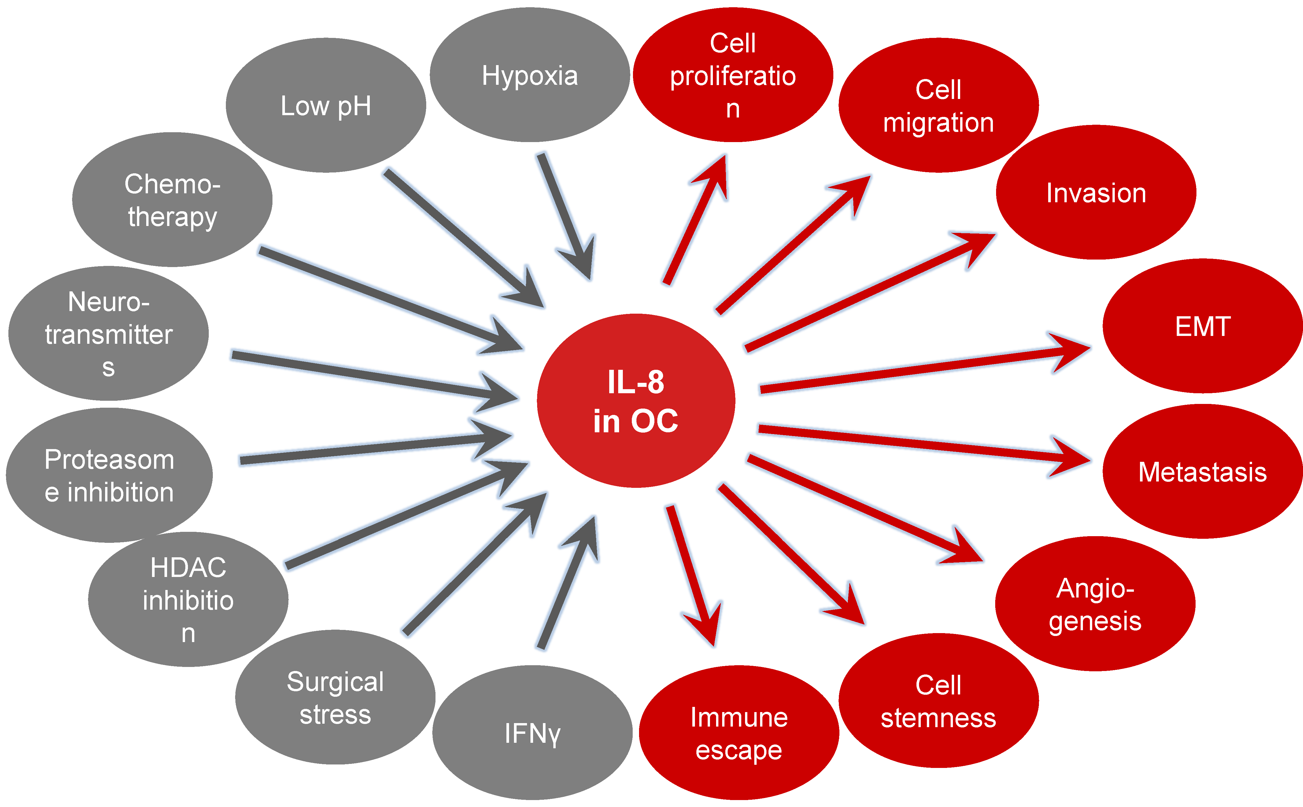 Cancers 16 02676 g004 Cancers 16 02676 g004