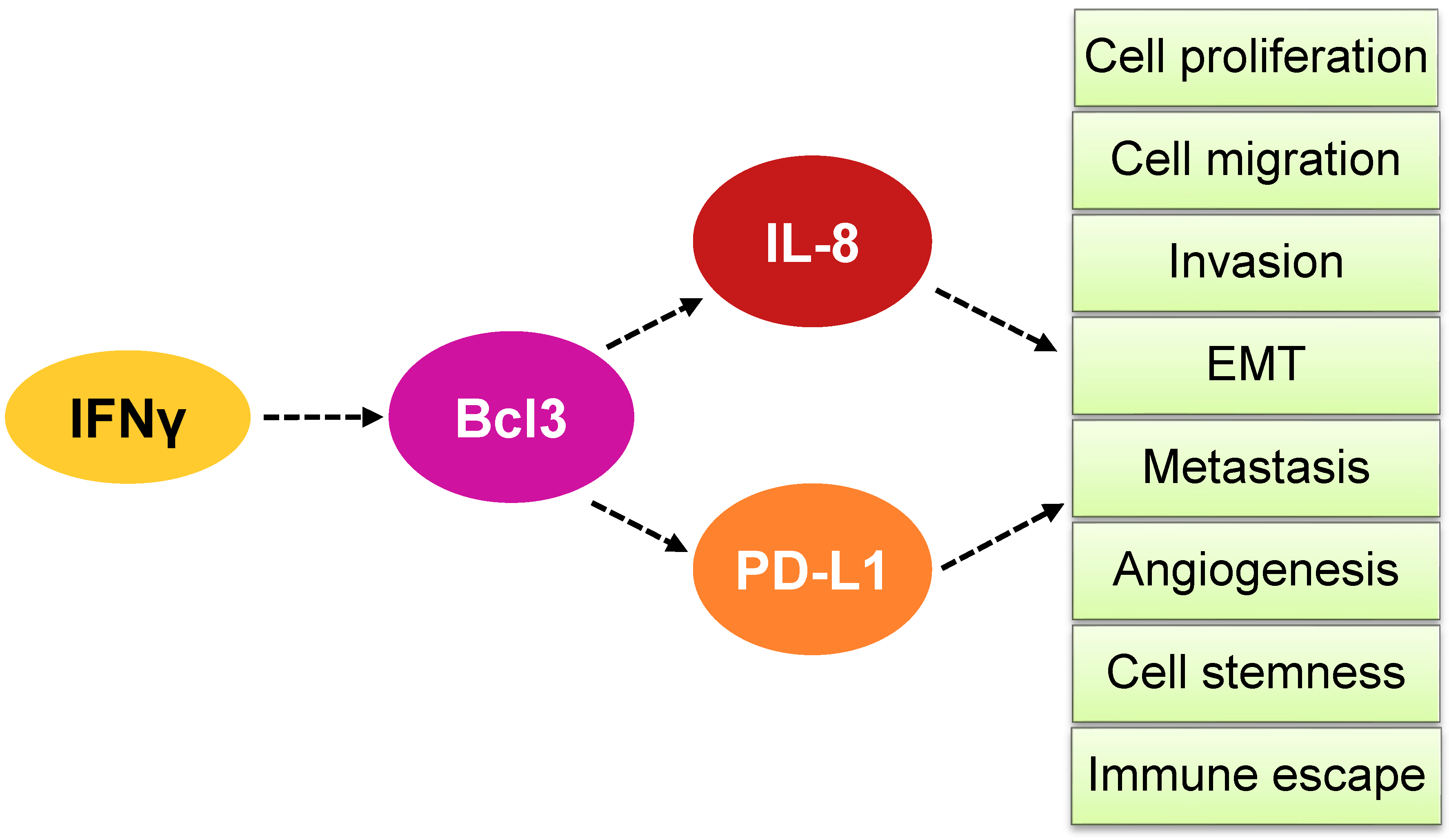 Cancers 16 02676 g006 Cancers 16 02676 g006