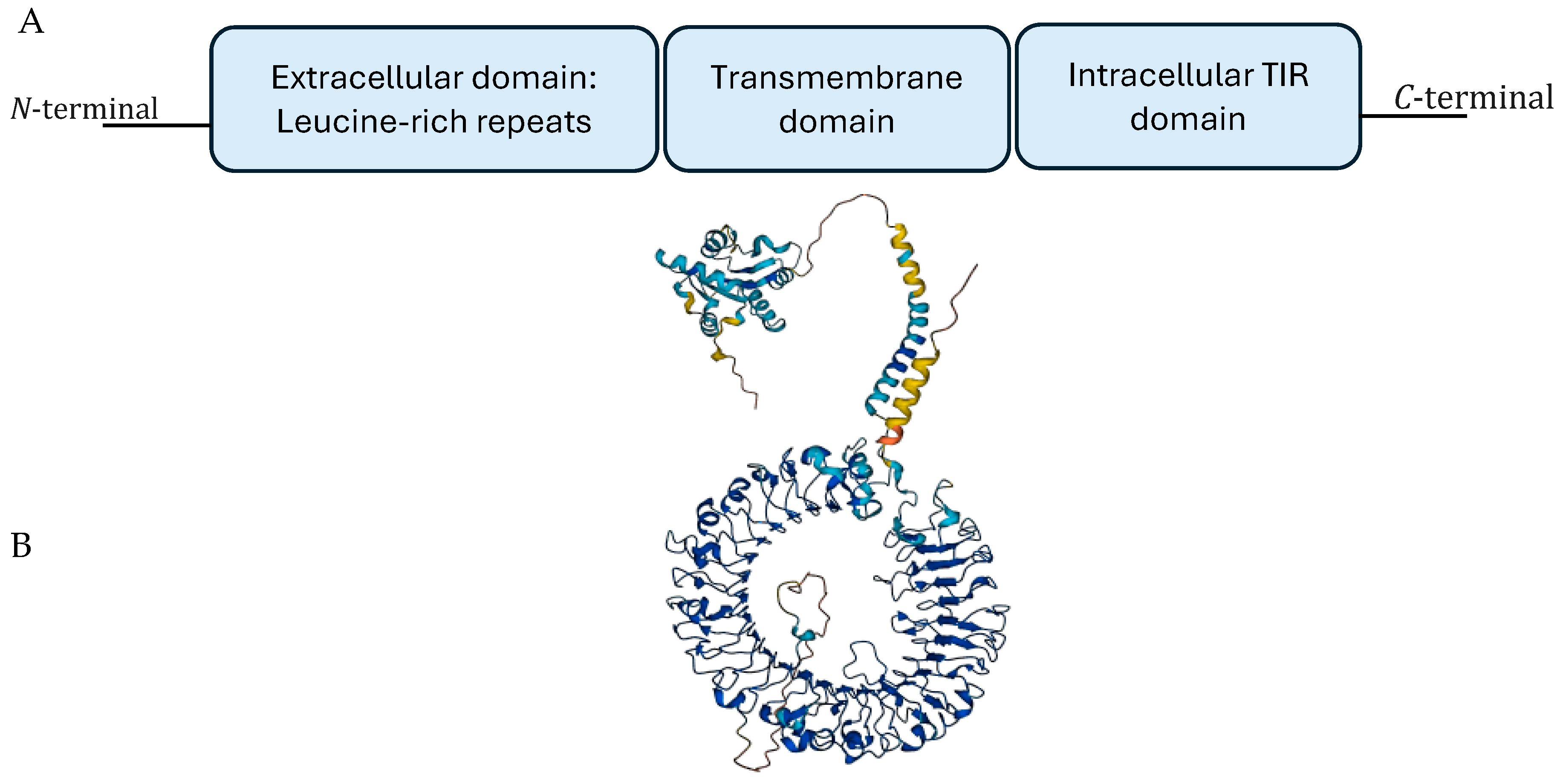 Cancers 16 02679 g001