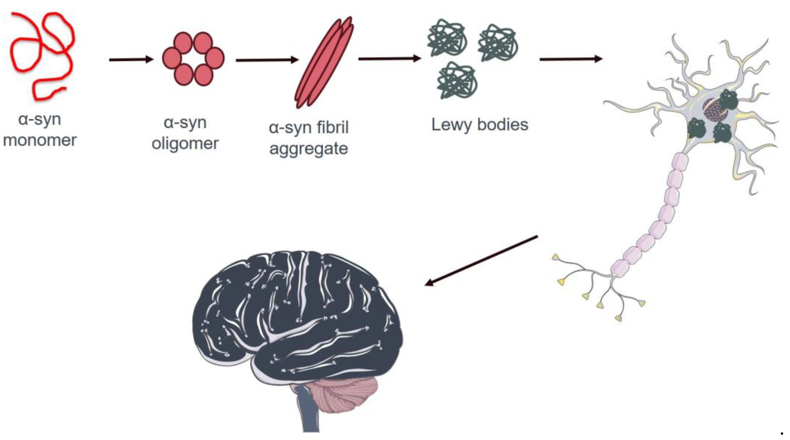 Cancers 16 02680 g002 Cancers 16 02680 g002