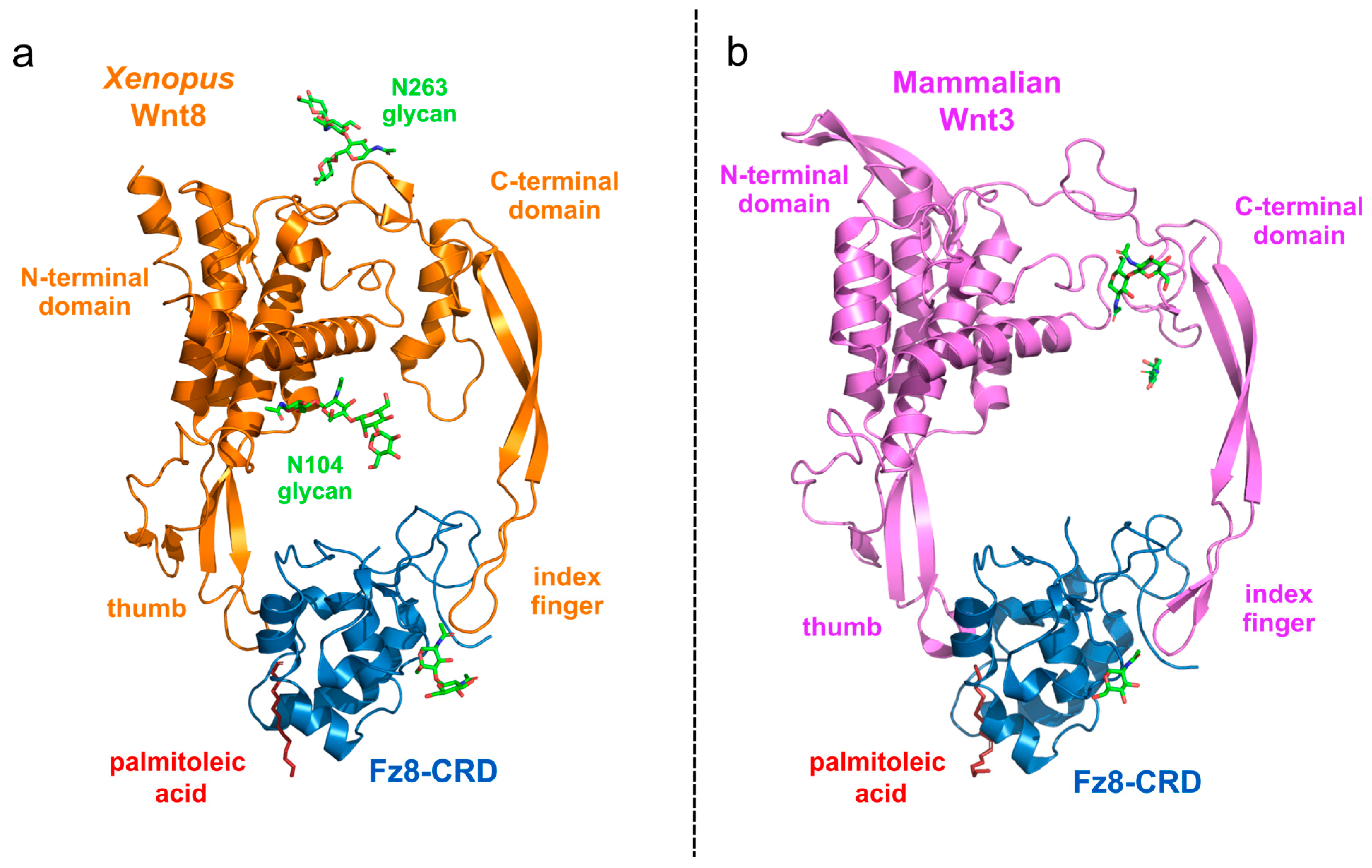 Cancers 16 02686 g003 Cancers 16 02686 g003