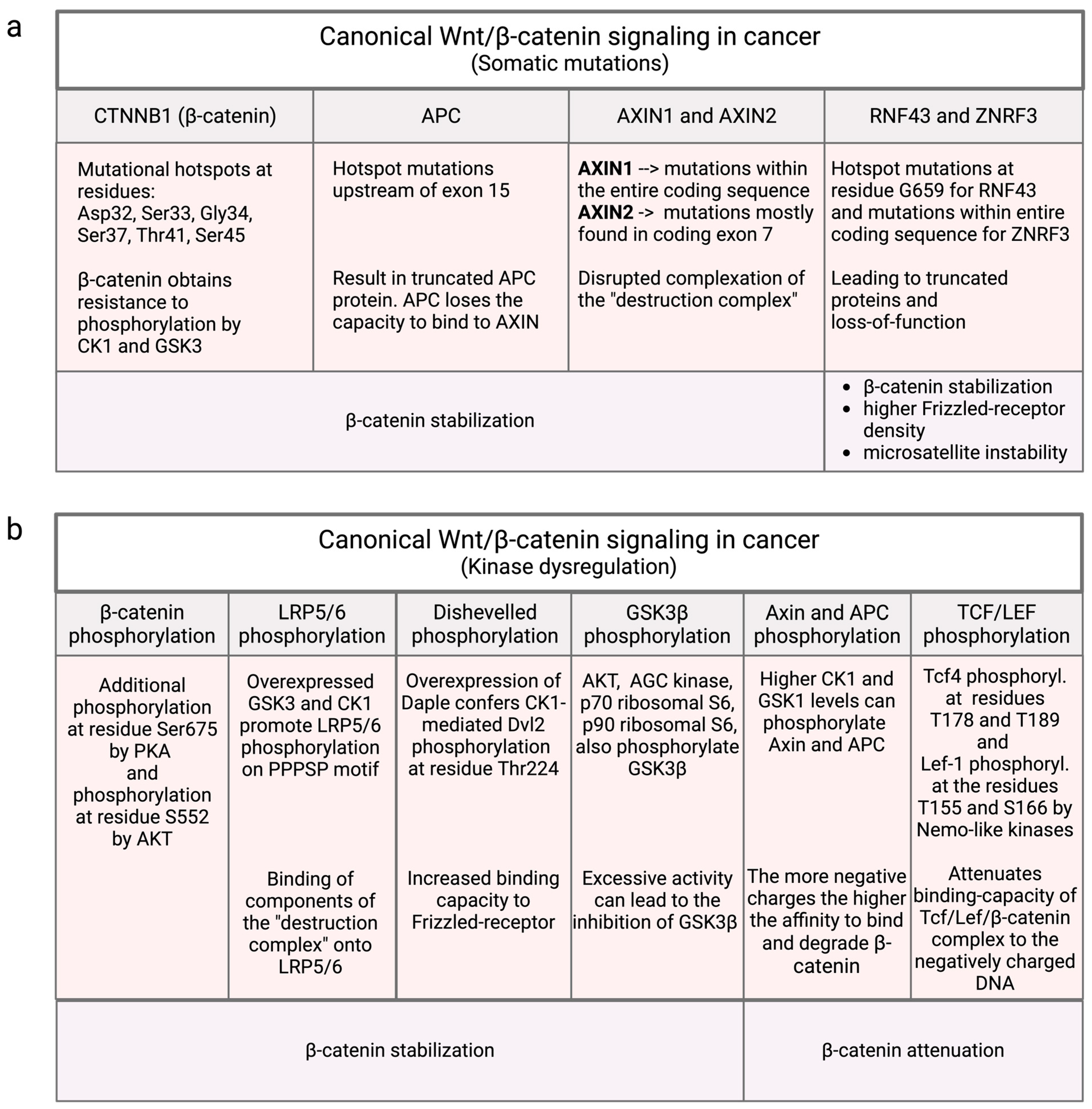 Cancers 16 02686 g004 Cancers 16 02686 g004