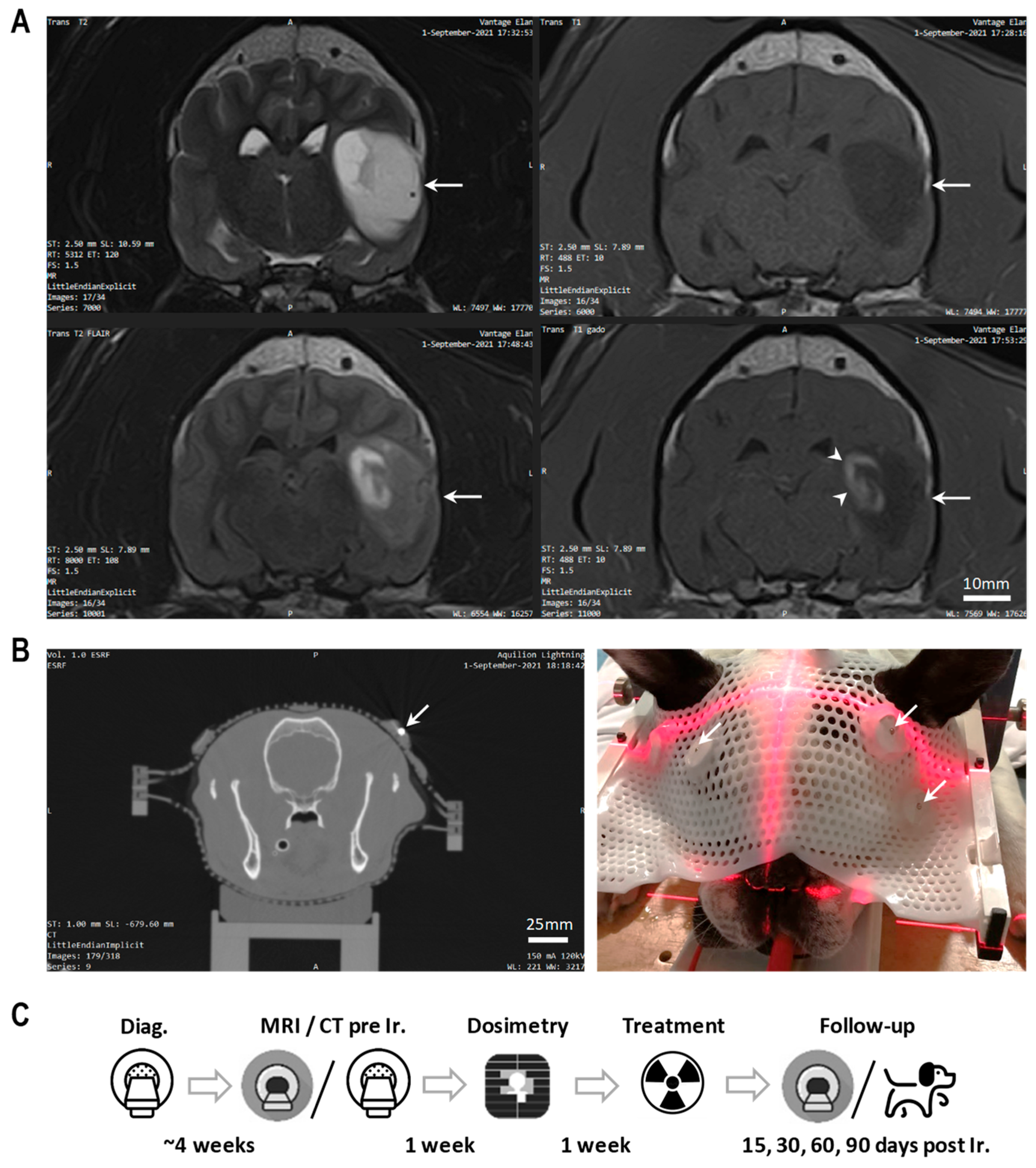 Cancers 16 02701 g001