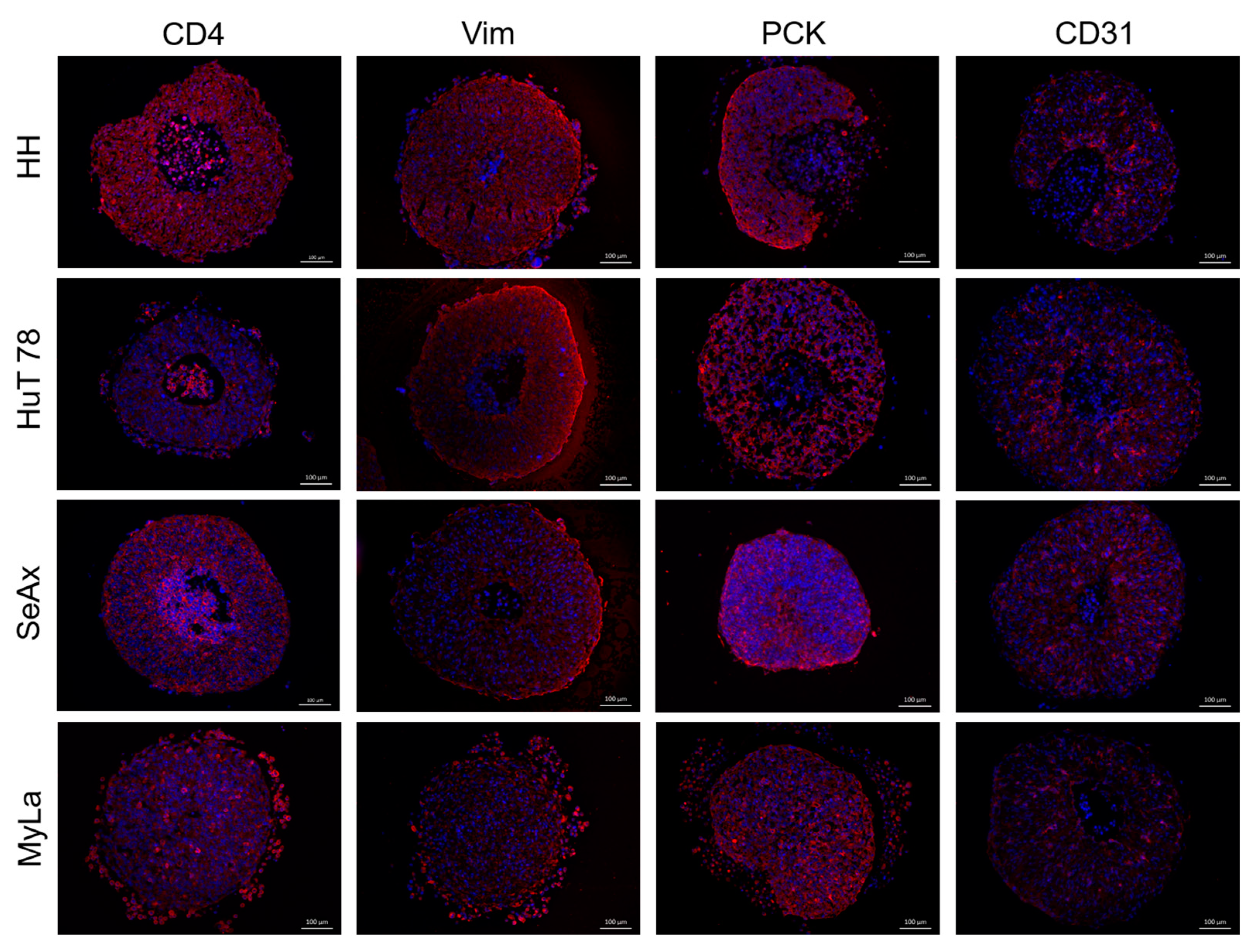 Cancers 16 02711 g006