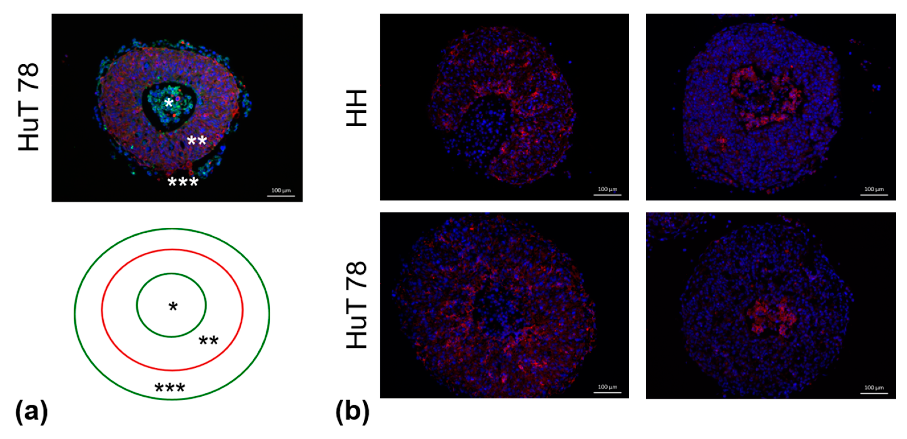 Cancers 16 02711 g007