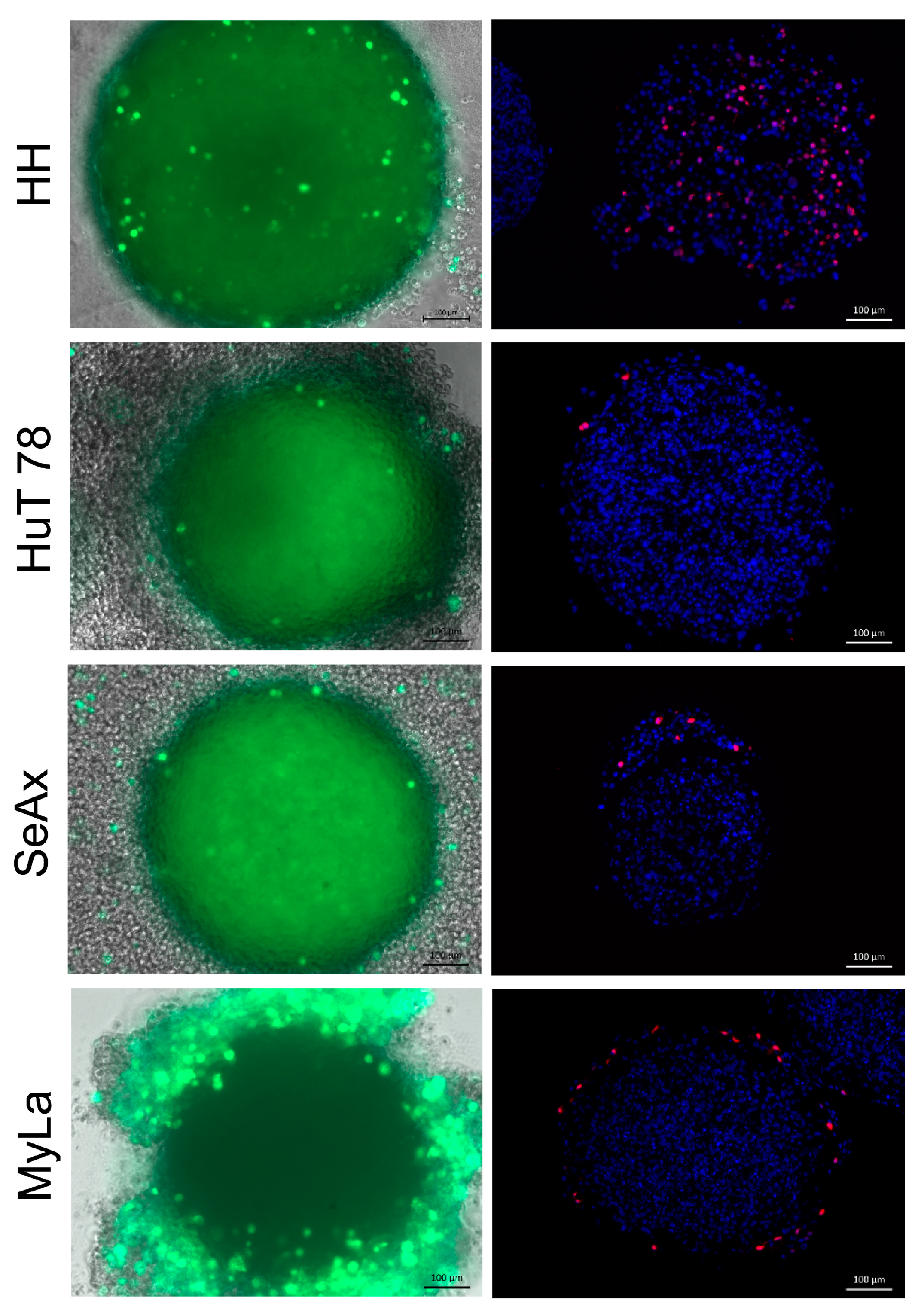 Cancers 16 02711 g008