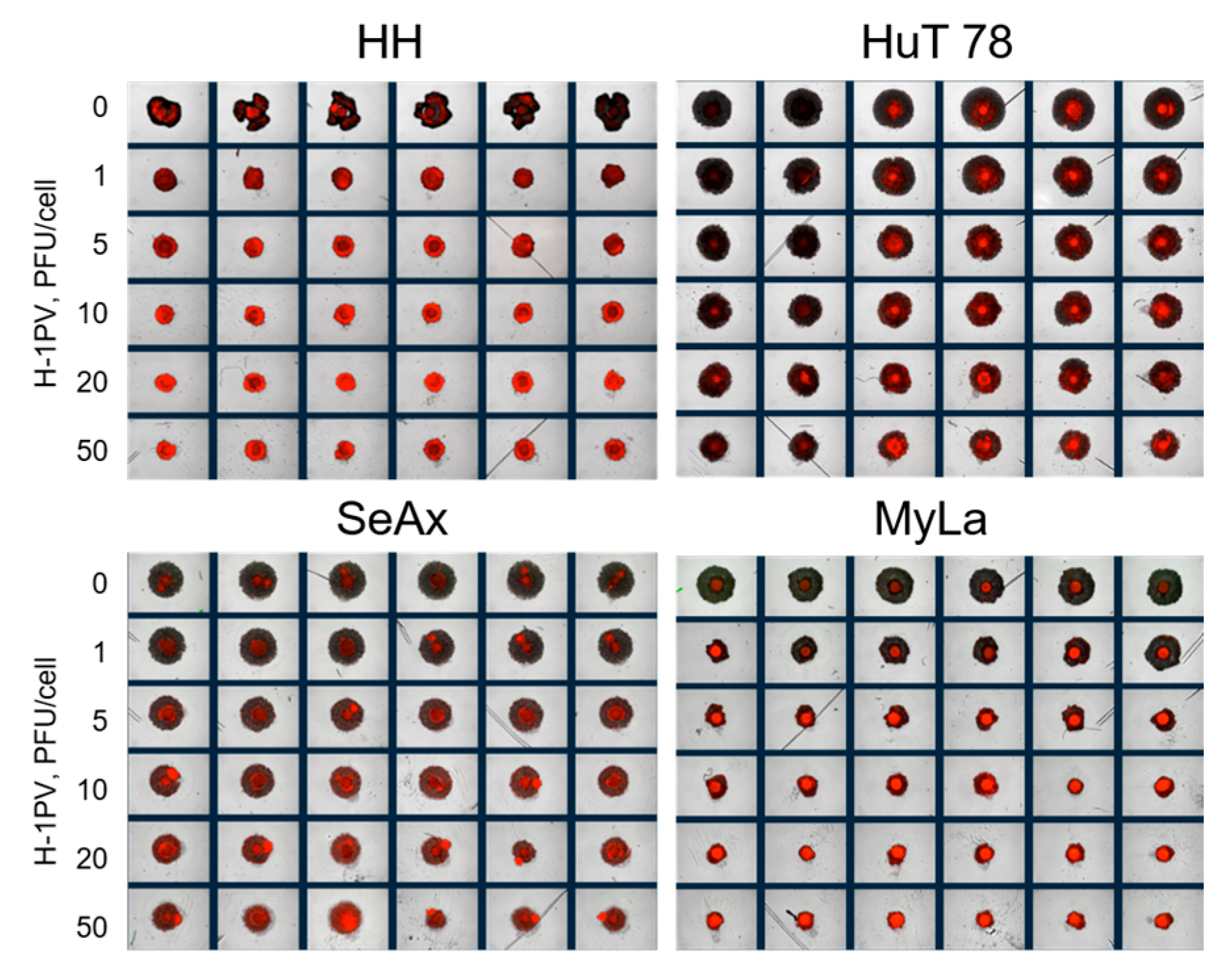 Cancers 16 02711 g011