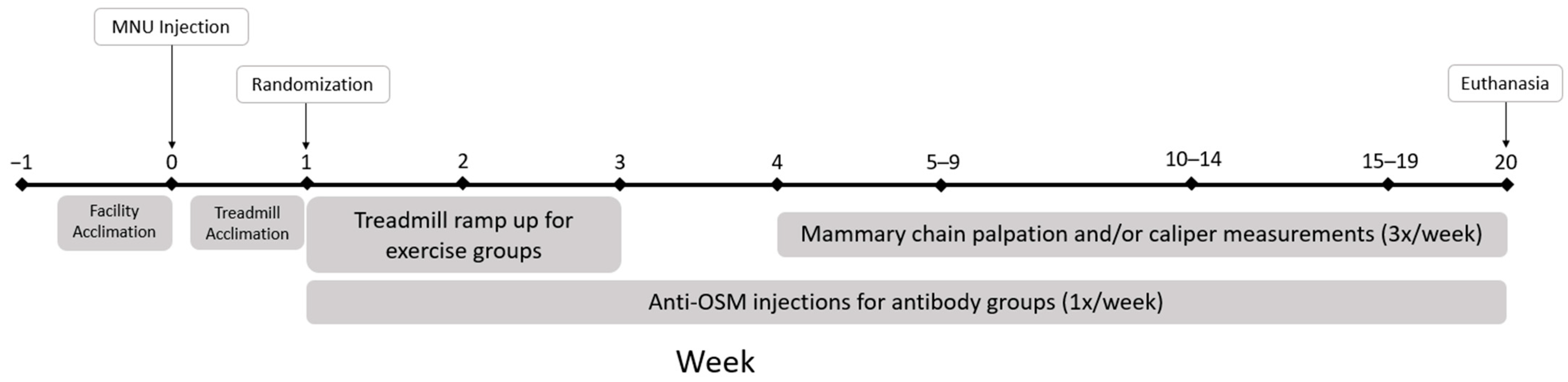 Cancers 16 02716 g001