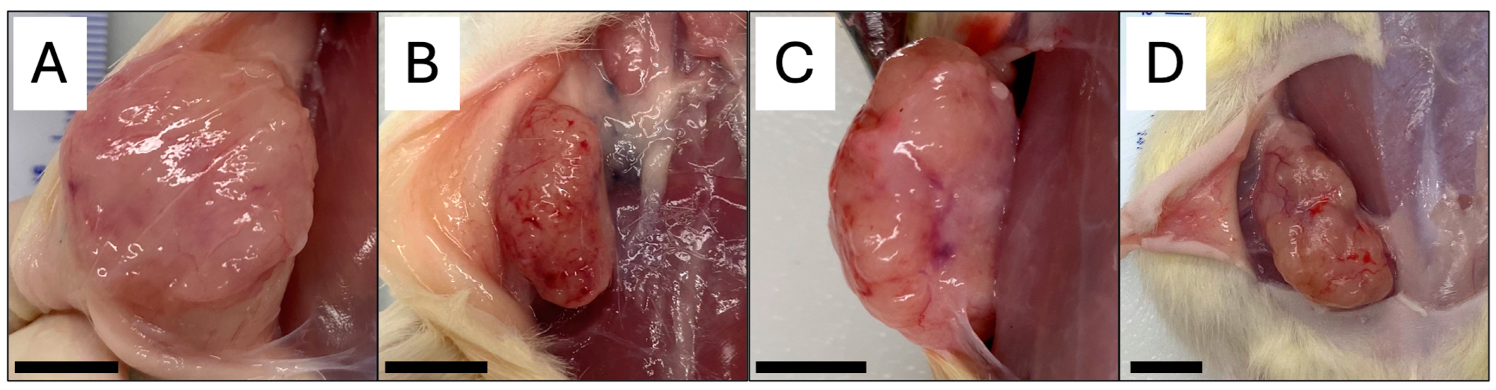 Cancers 16 02716 g003