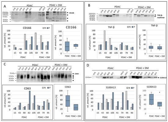 Differential miRNA and Protein Expression Reveals miR-1285