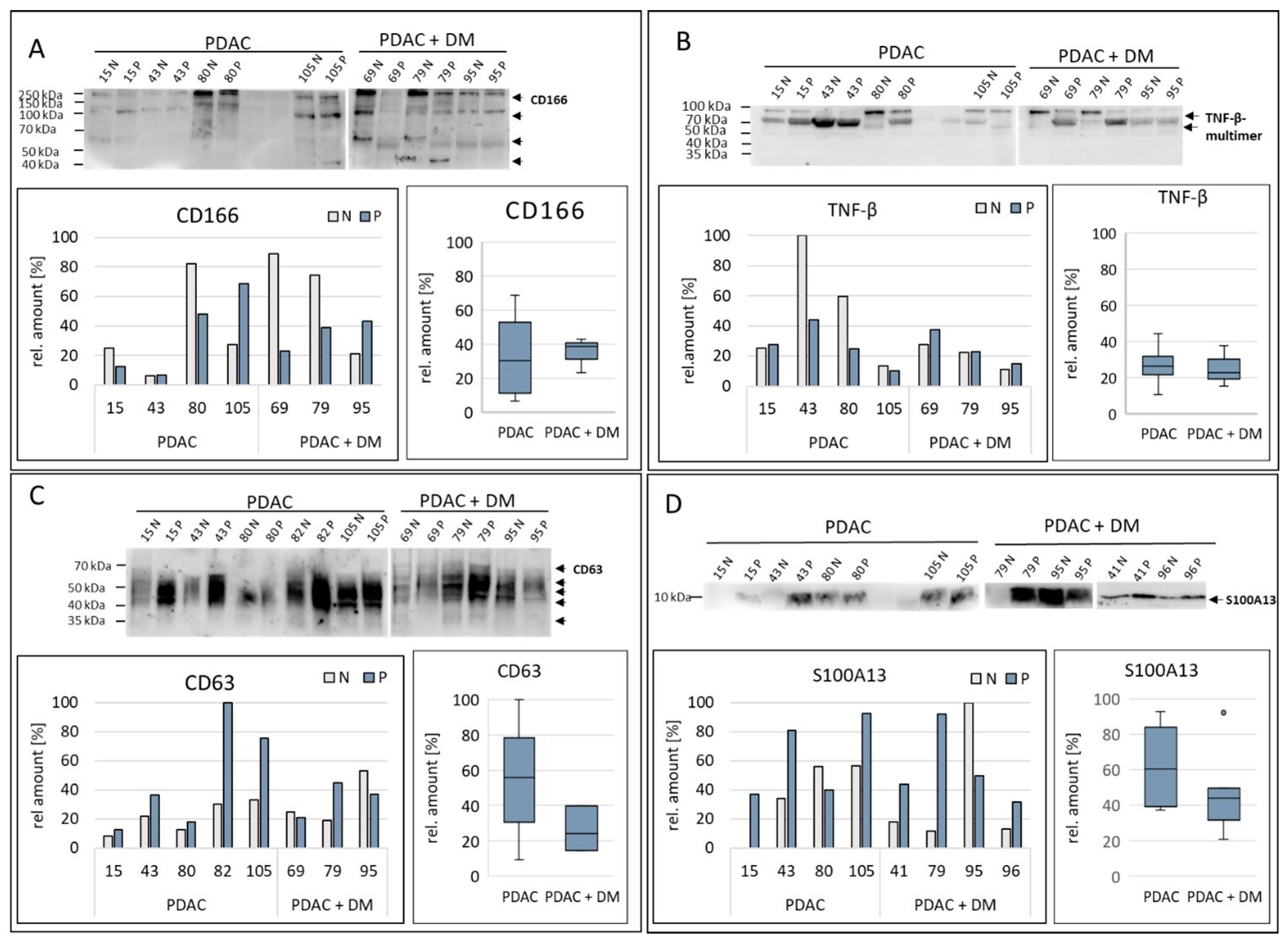 Differential miRNA and Protein Expression Reveals miR-1285