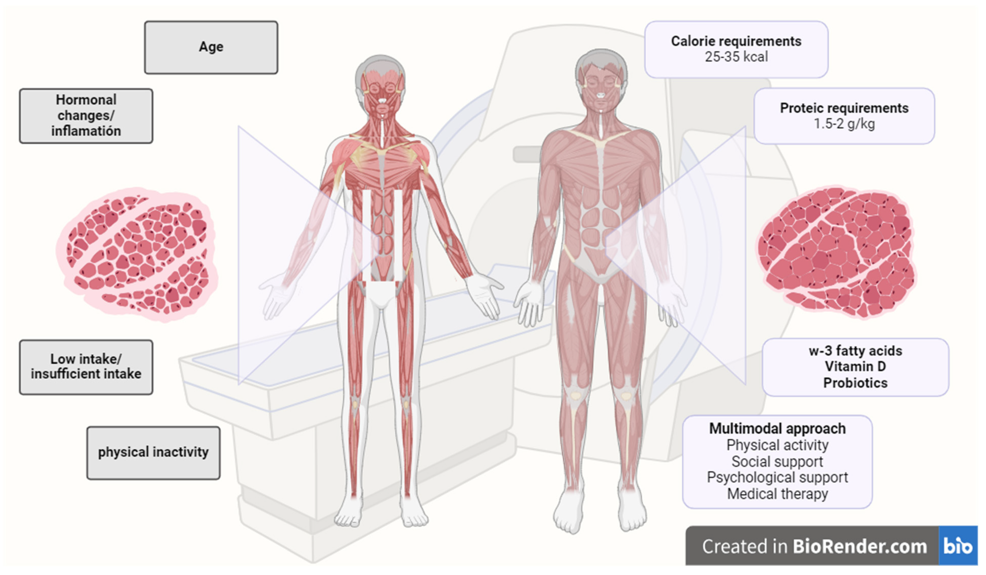 Cancers 16 02738 g006