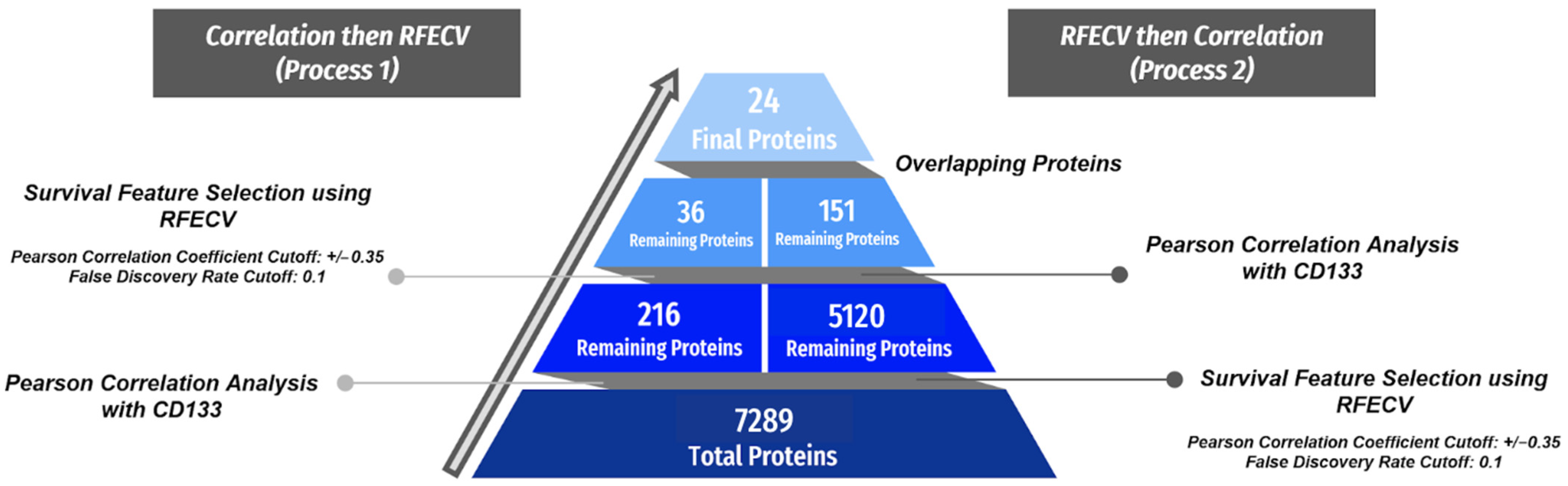 Cancers 16 02740 g002 Cancers 16 02740 g002