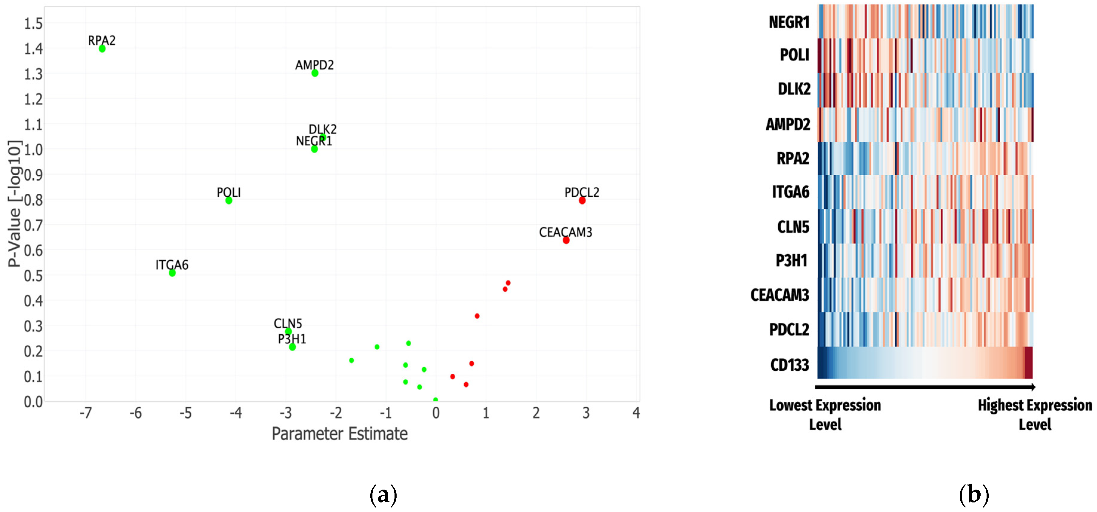 Cancers 16 02740 g004 Cancers 16 02740 g004