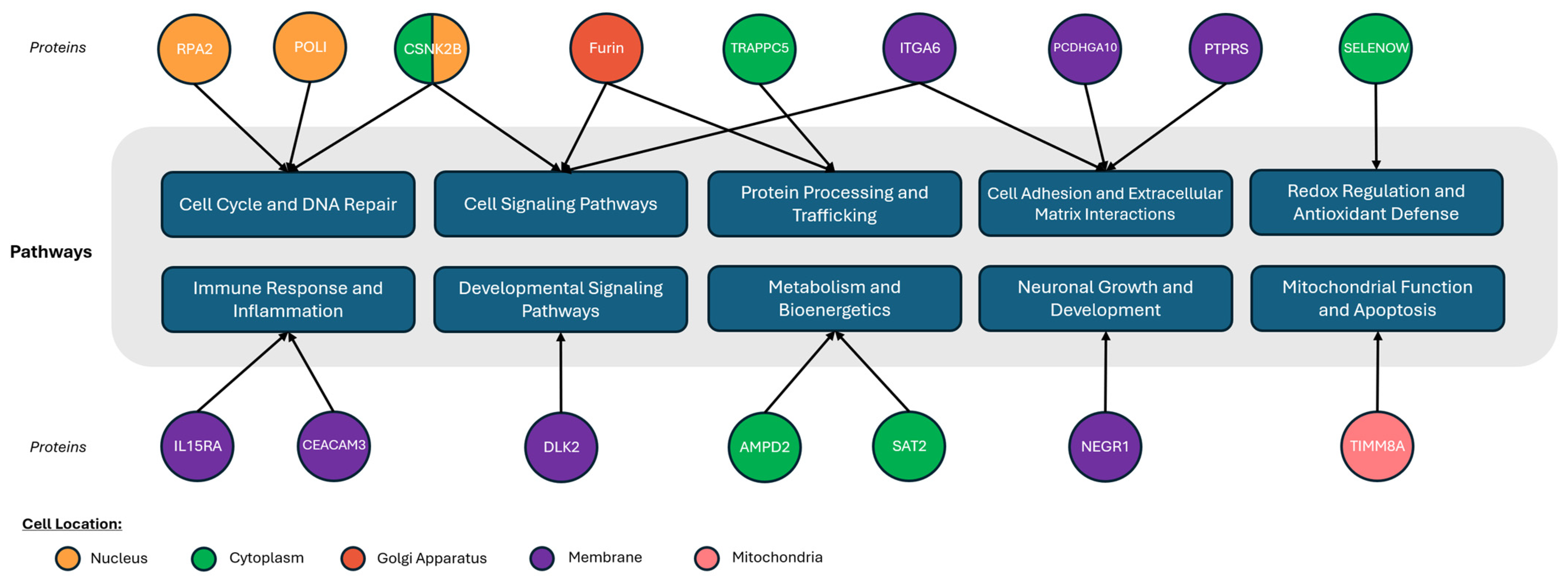 Cancers 16 02740 g008 Cancers 16 02740 g008