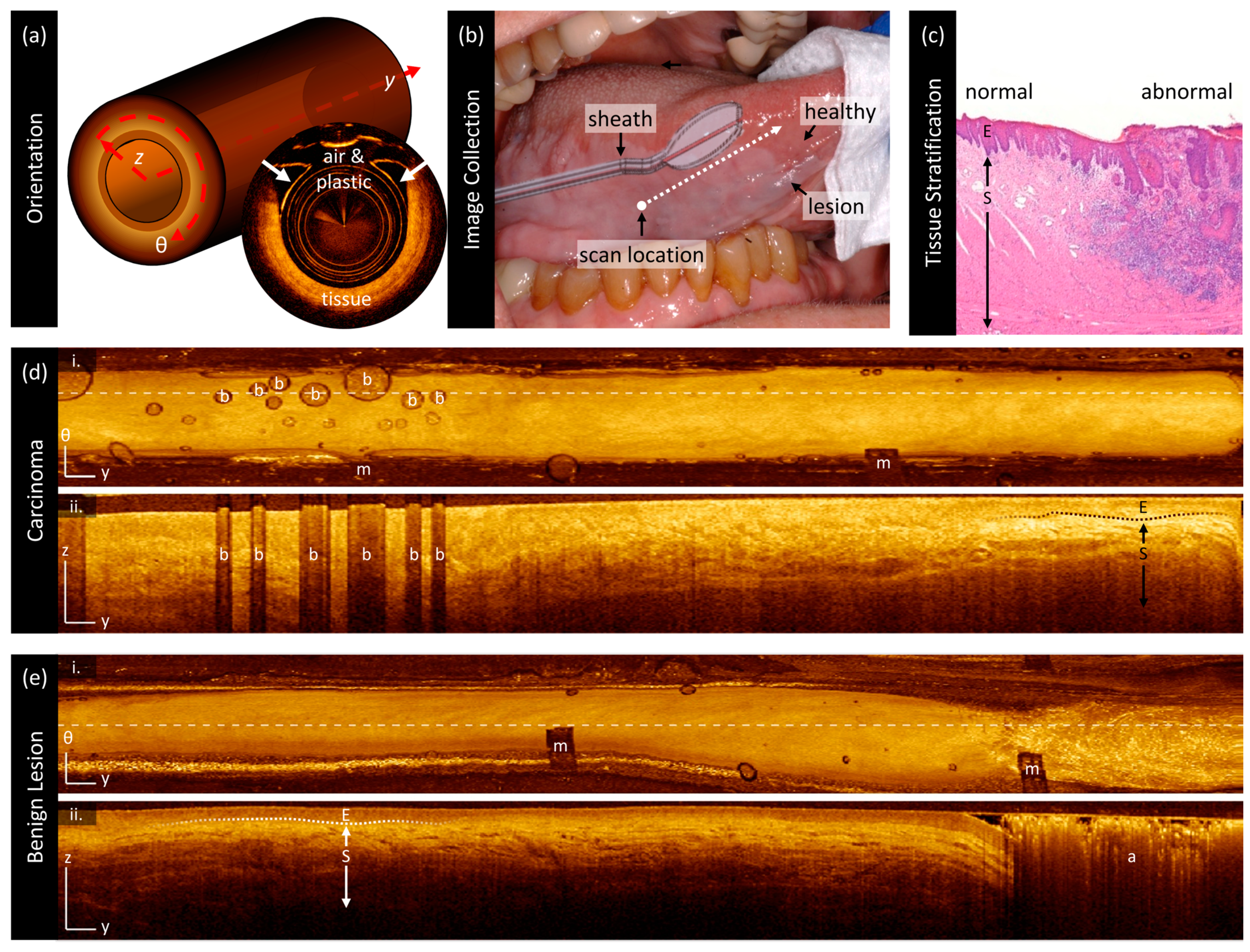 Cancers 16 02751 g002 Cancers 16 02751 g002