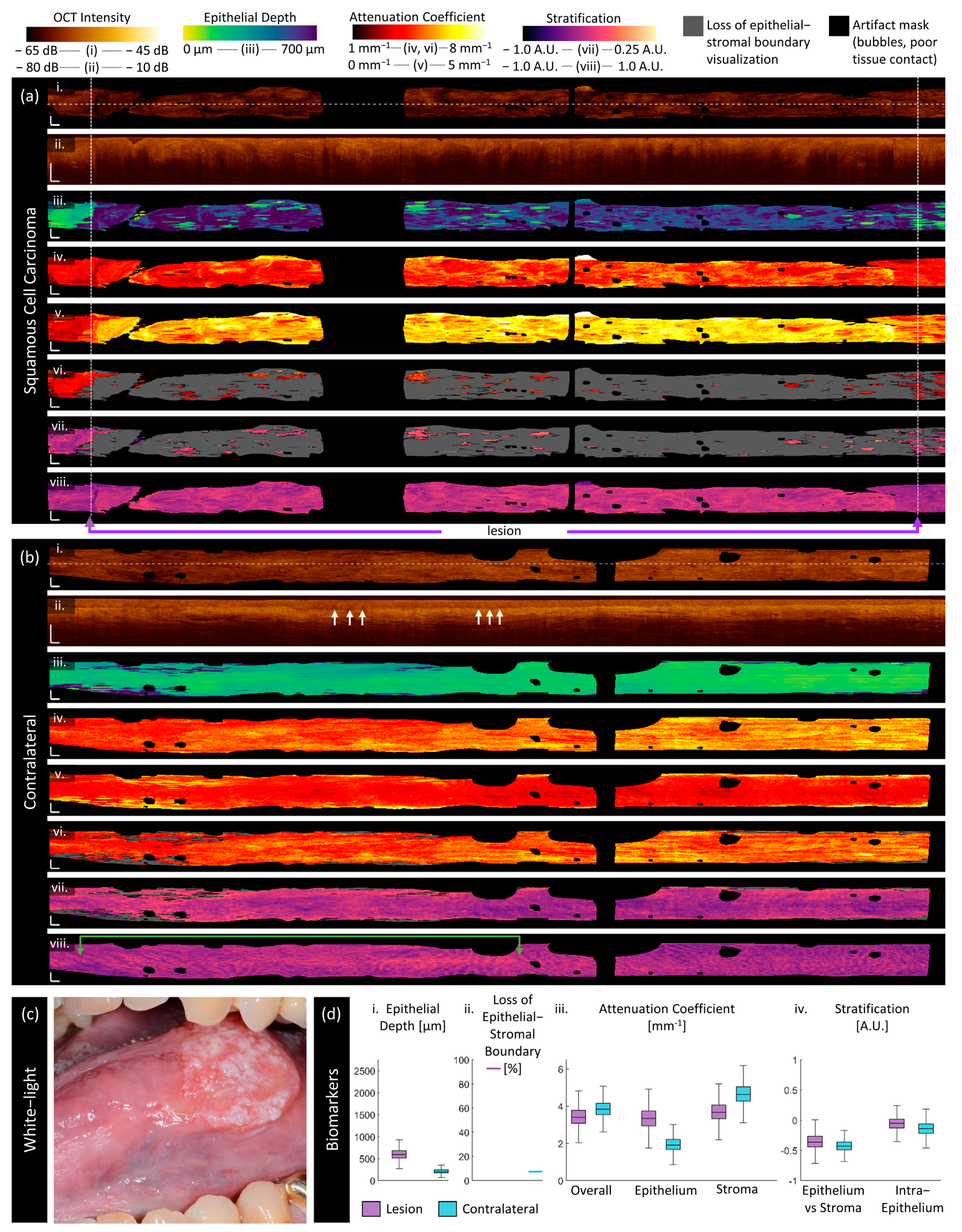 Cancers 16 02751 g008 Cancers 16 02751 g008