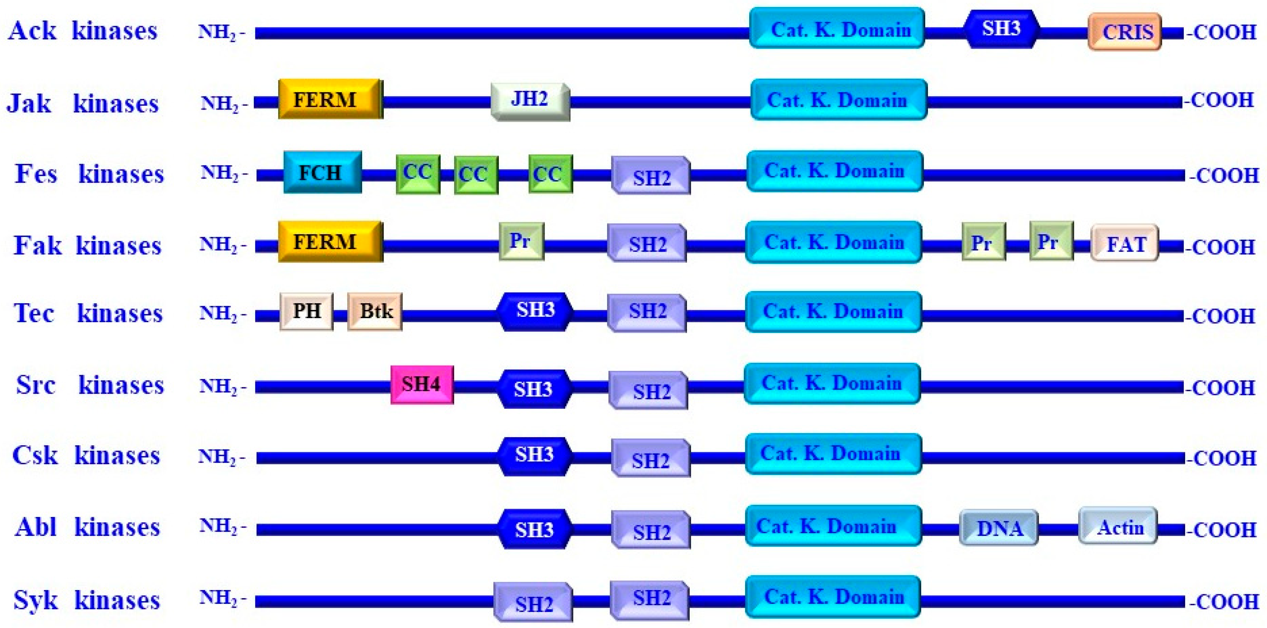 Cancers 16 02754 g001 Cancers 16 02754 g001