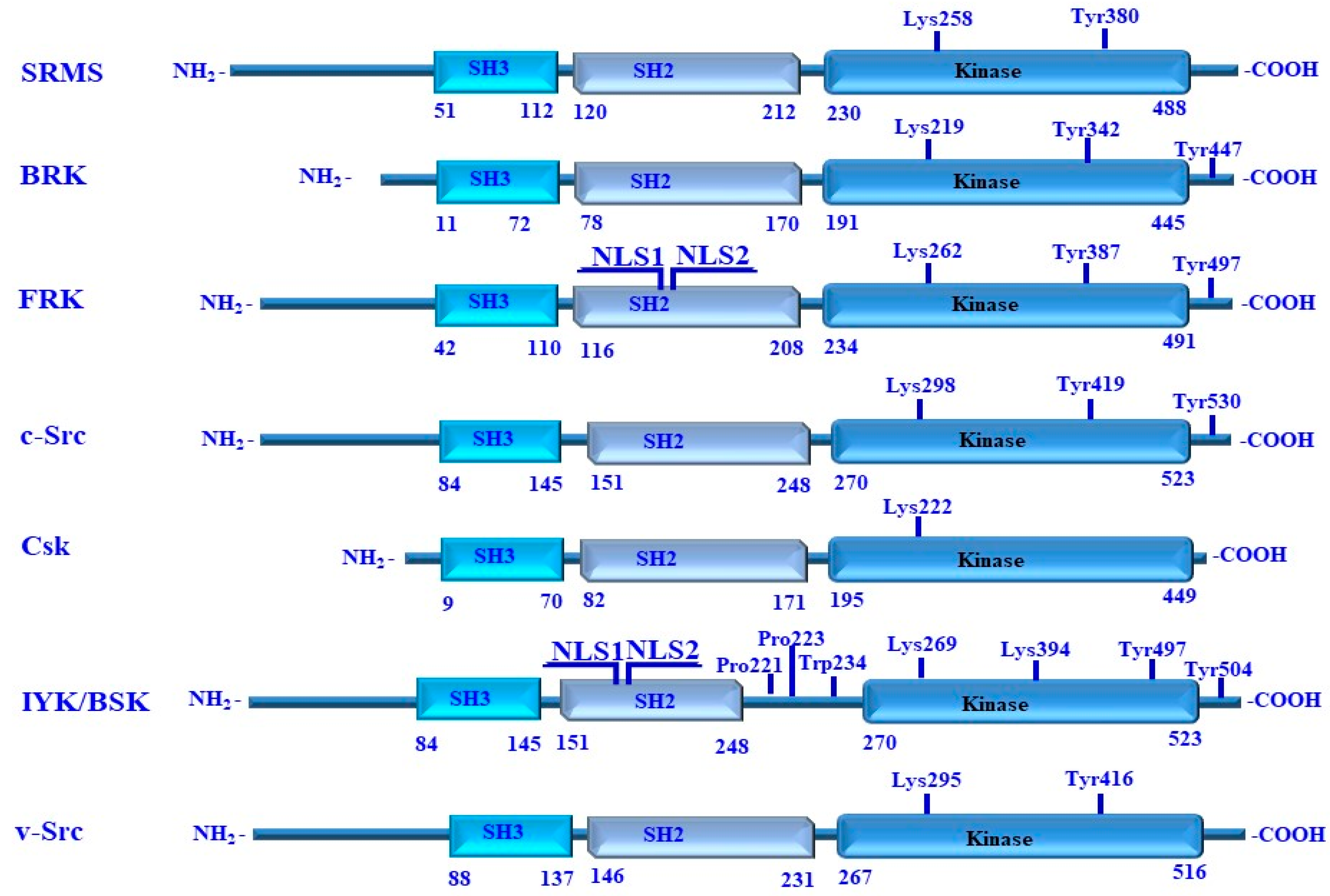 Cancers 16 02754 g008 Cancers 16 02754 g008