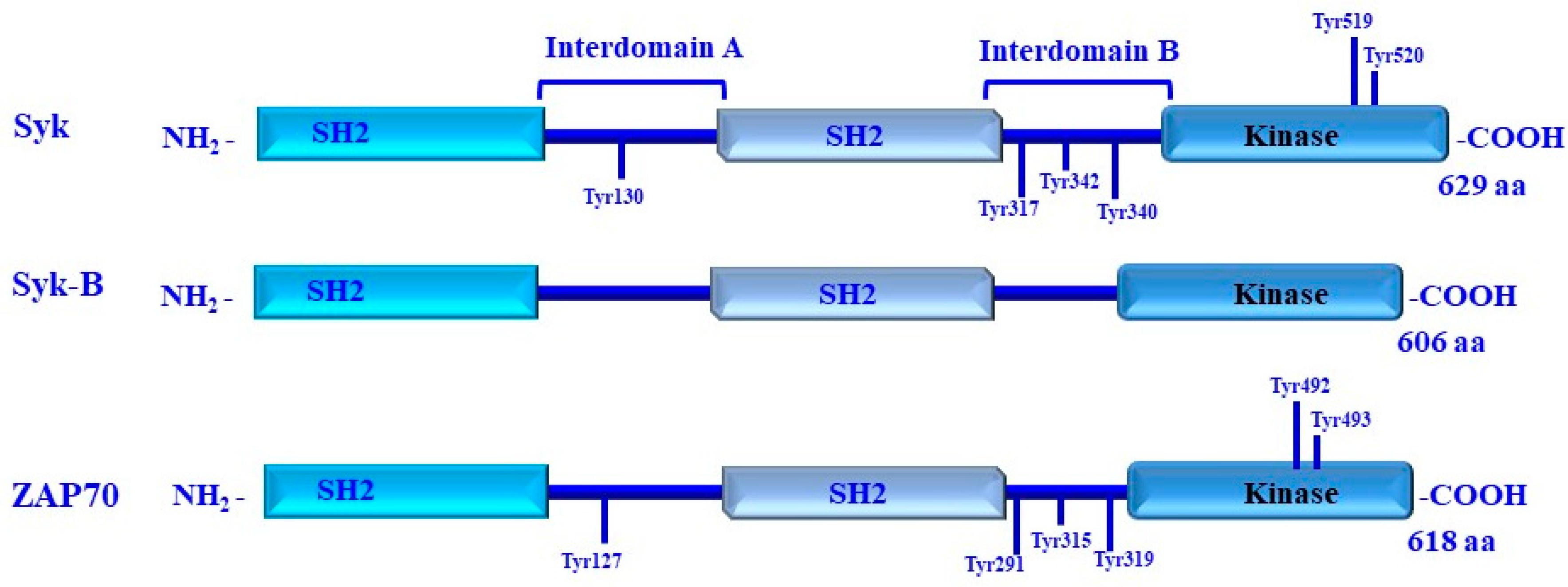 Cancers 16 02754 g010 Cancers 16 02754 g010