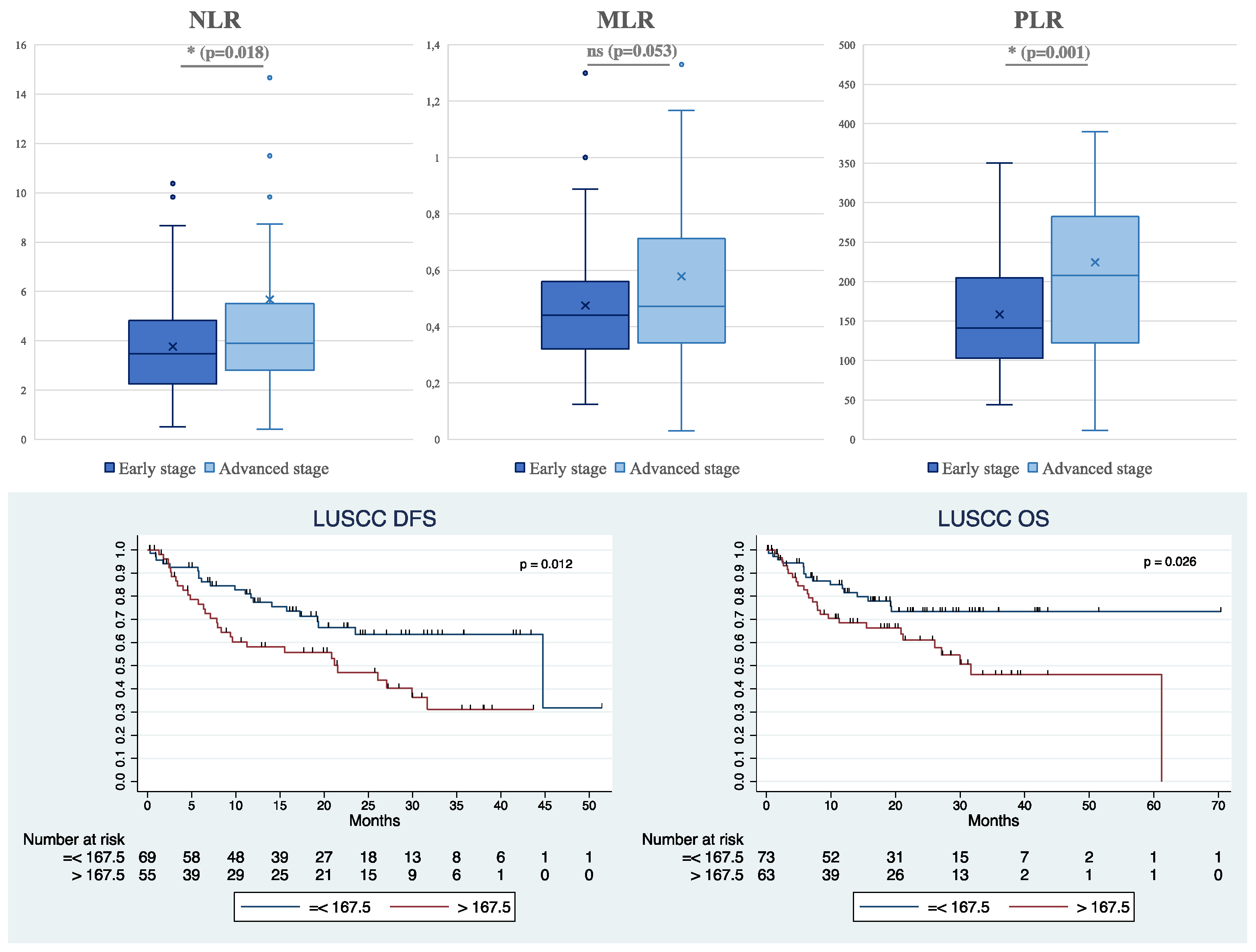 Cancers 16 02759 g003