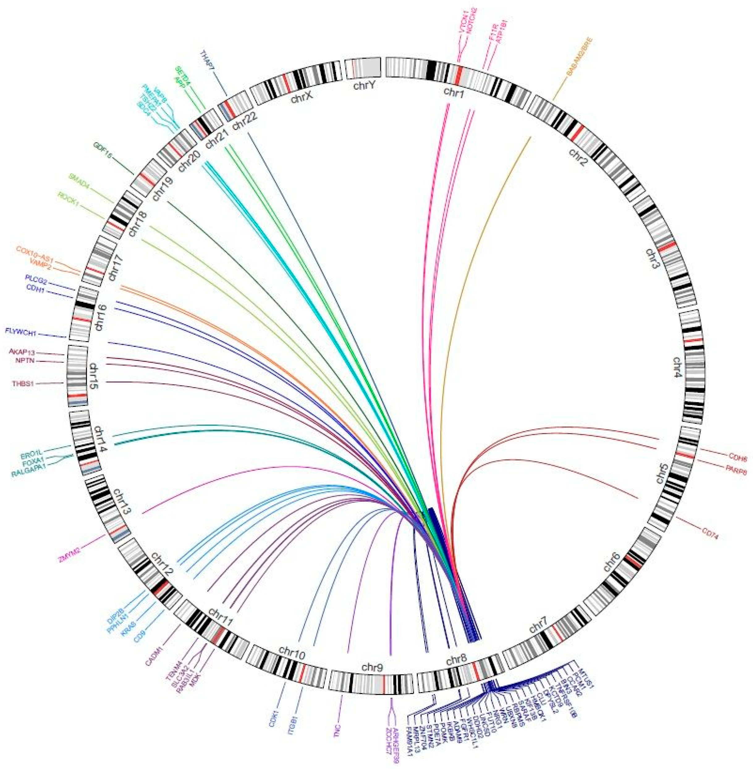 Cancers 16 02766 g004