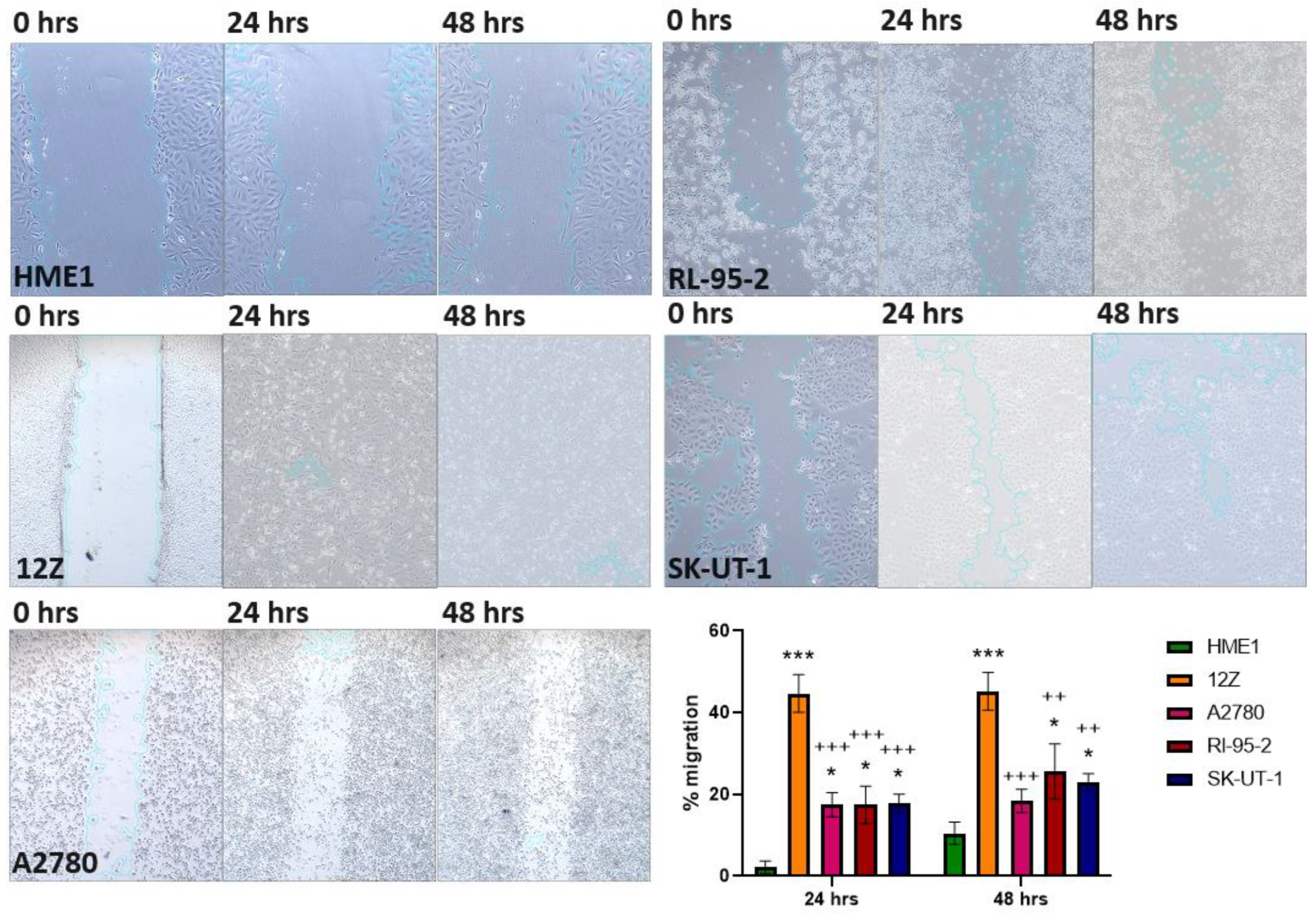 Cancers 16 02772 g006 Cancers 16 02772 g006