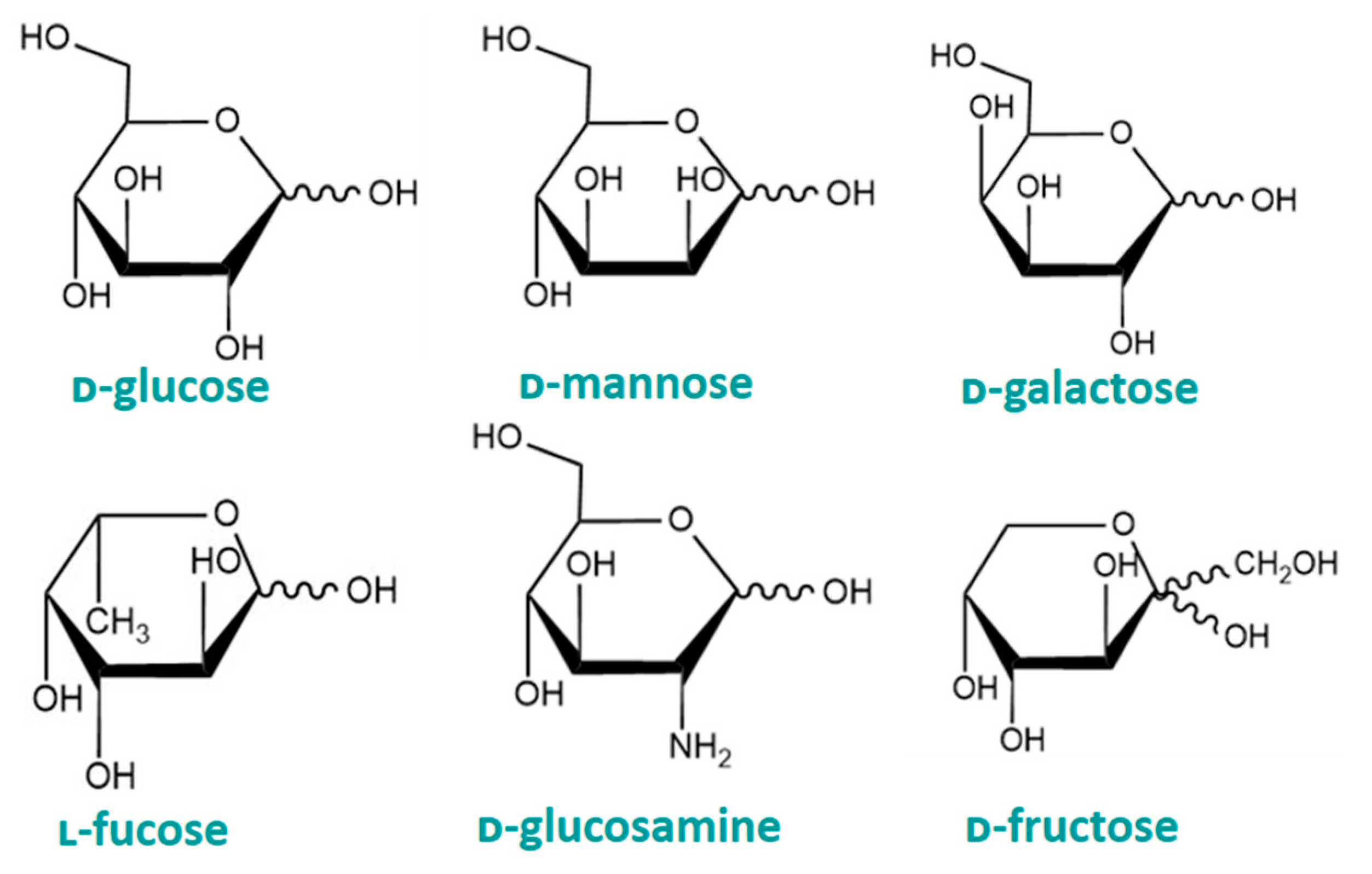 Cancers 16 02775 g002 Cancers 16 02775 g002