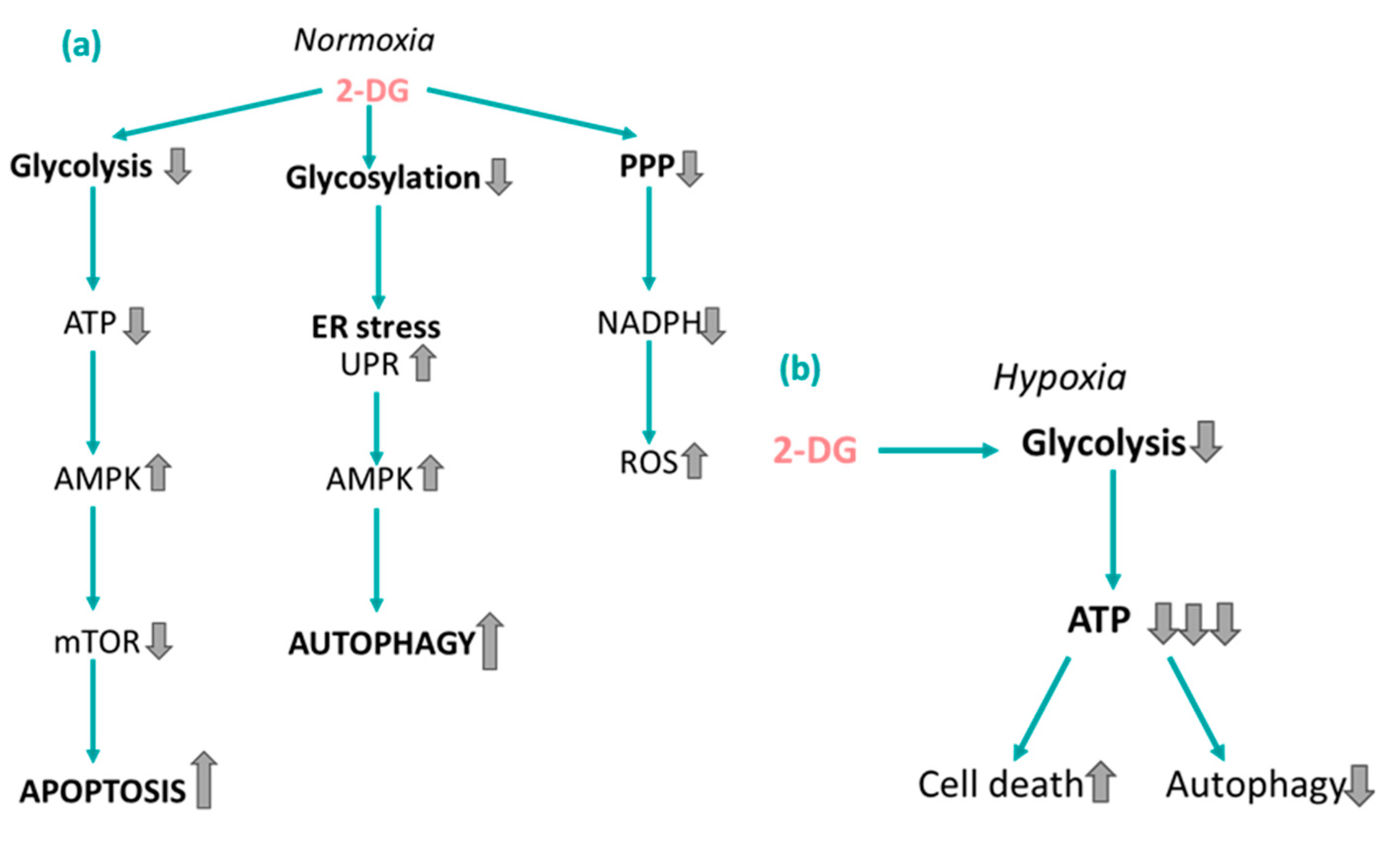 Cancers 16 02775 g006 Cancers 16 02775 g006
