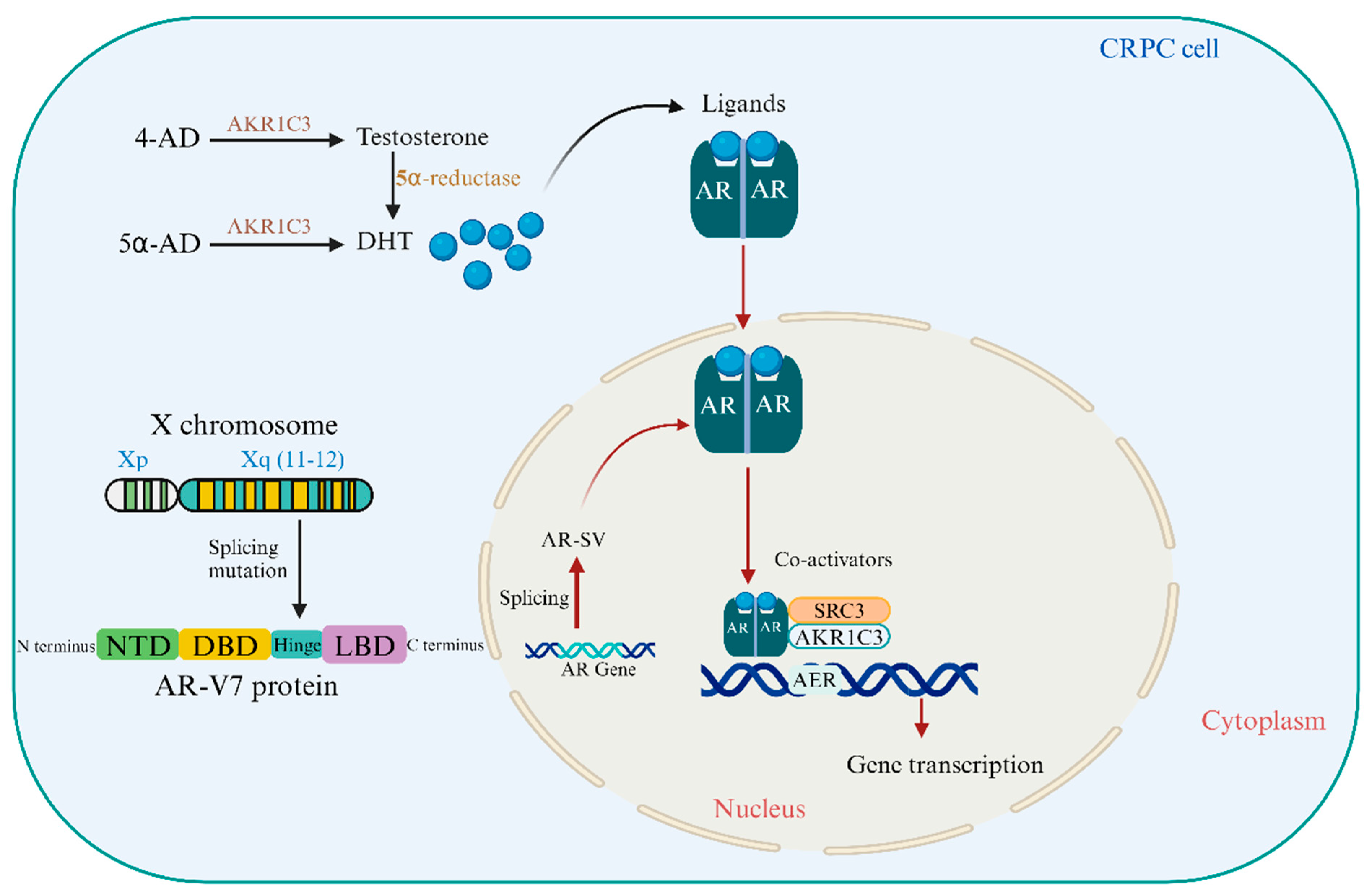 Cancers 16 02777 g001