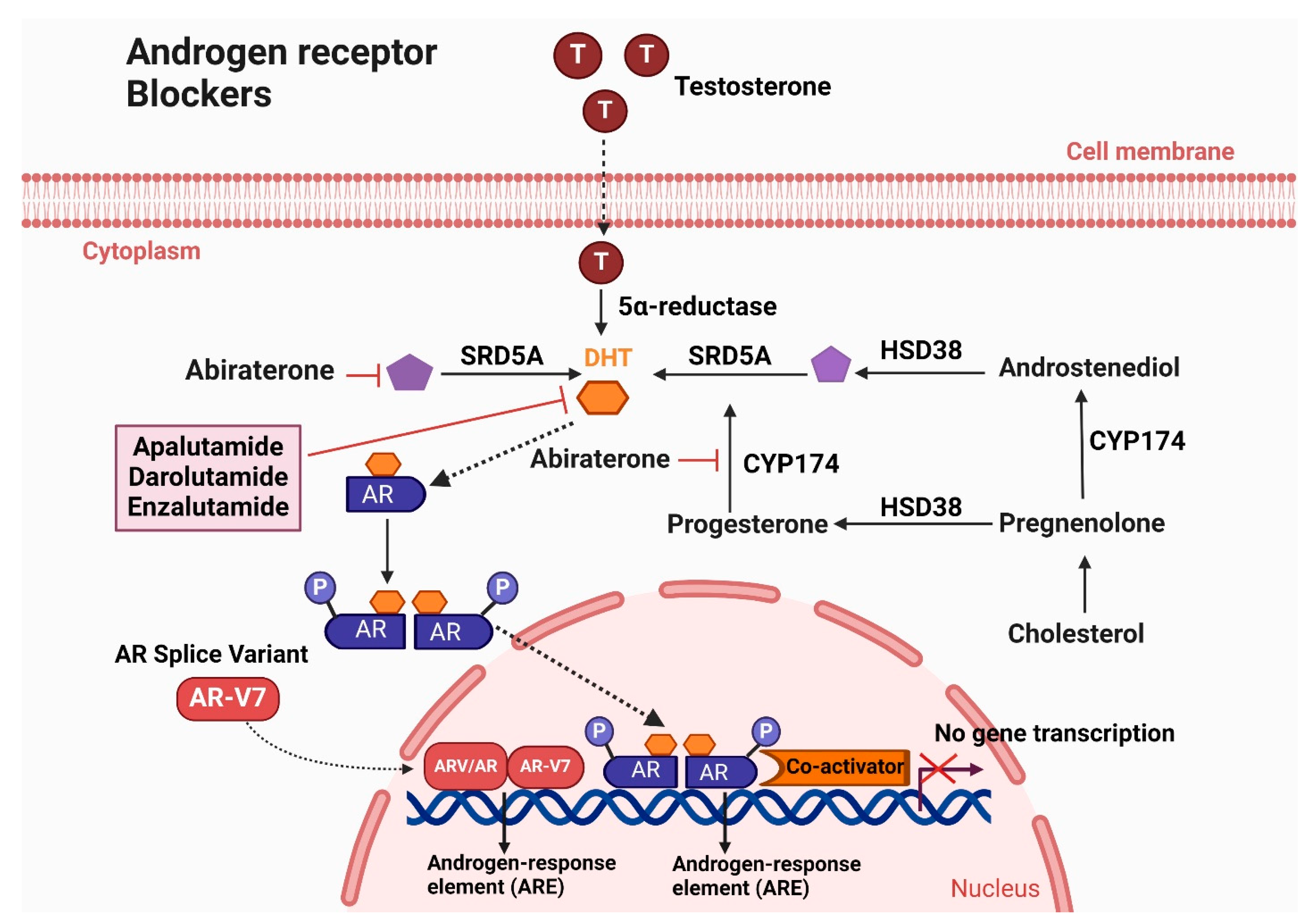 Cancers 16 02777 g004
