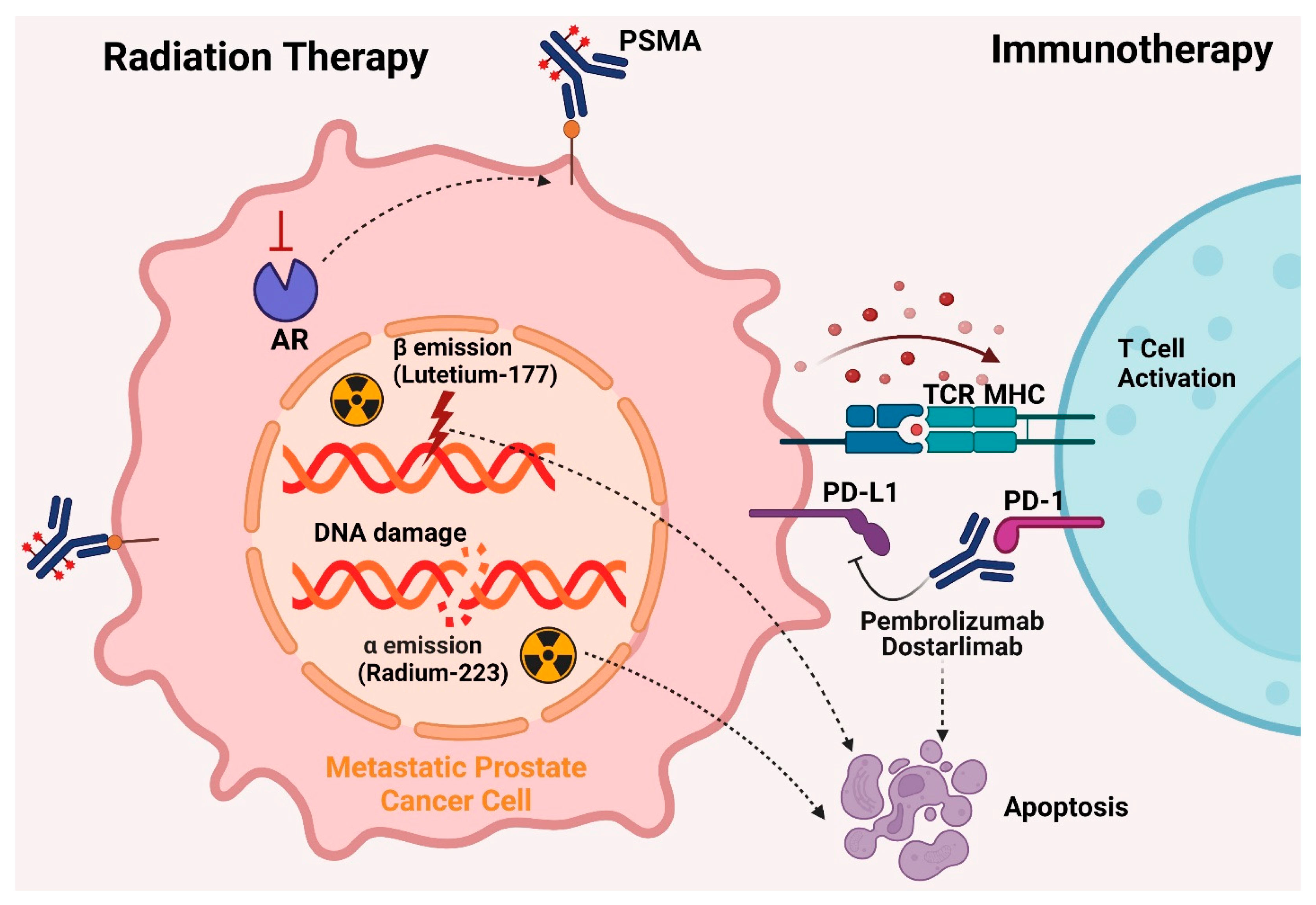 Cancers 16 02777 g005
