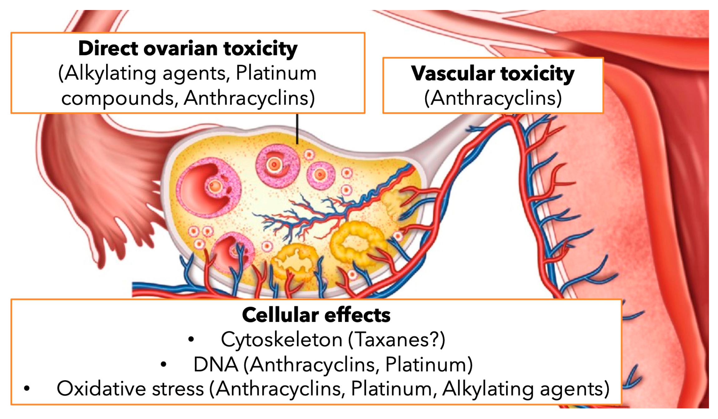 Cancers 16 02793 g001