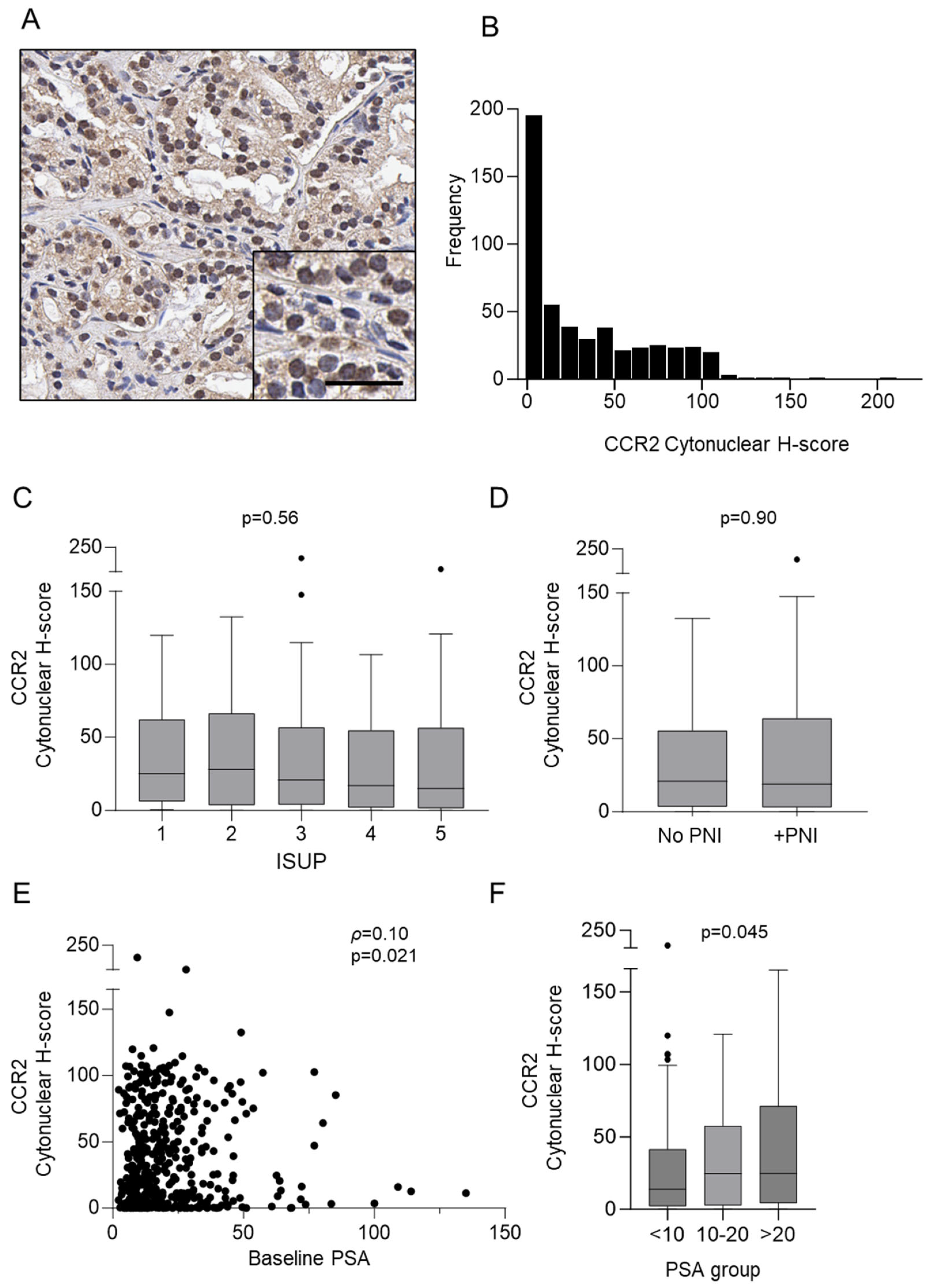 Cancers 16 02794 g001